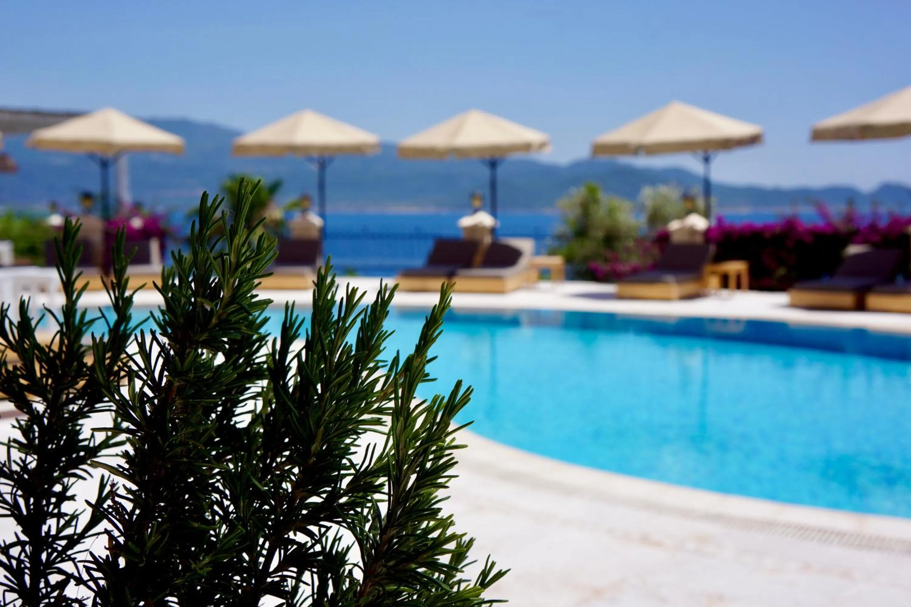 View (from property/room) in Villa Hotel Tamara