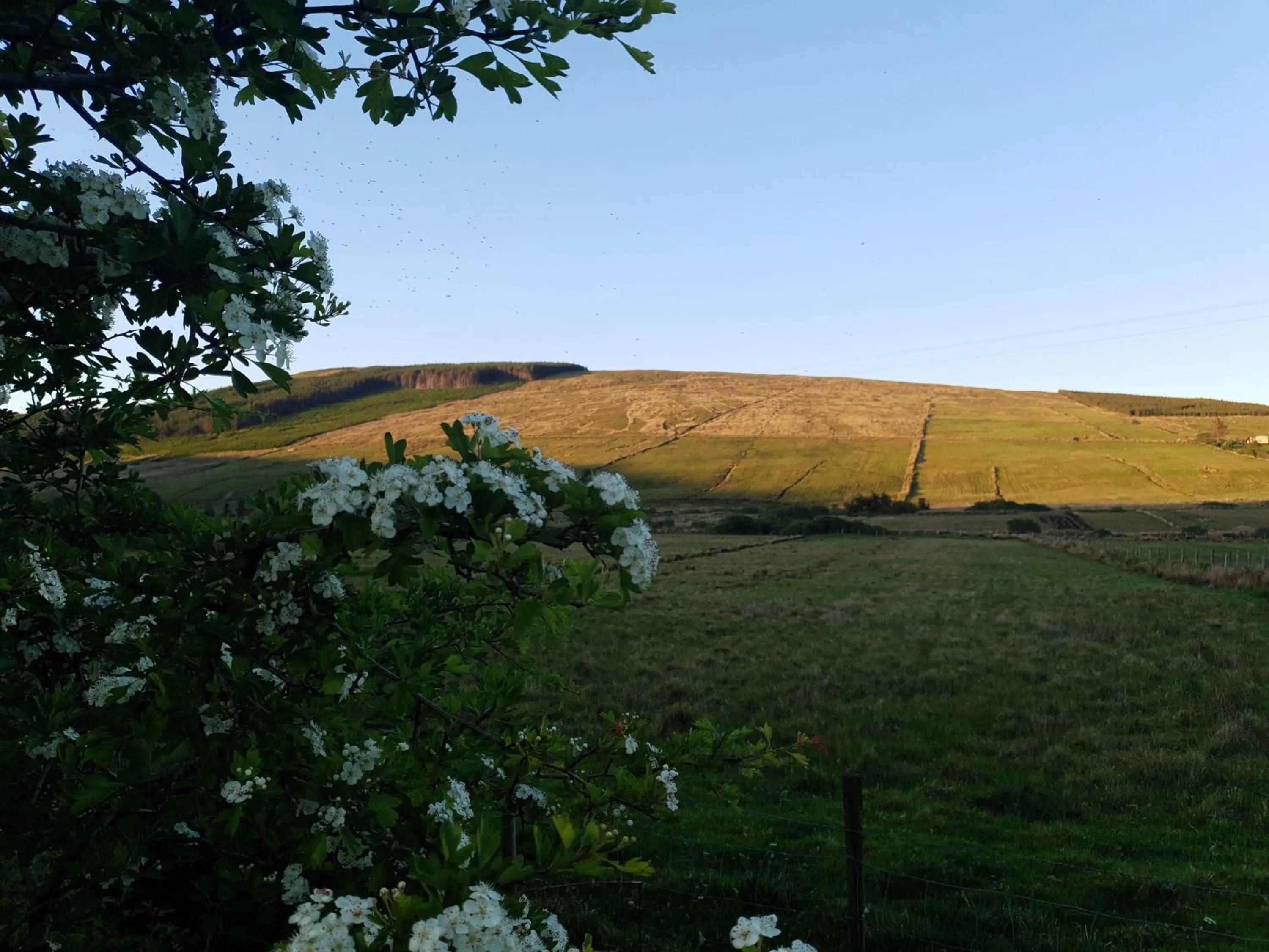 Natural landscape in An Charraig Ban on the wild Atlantic way F94WT02