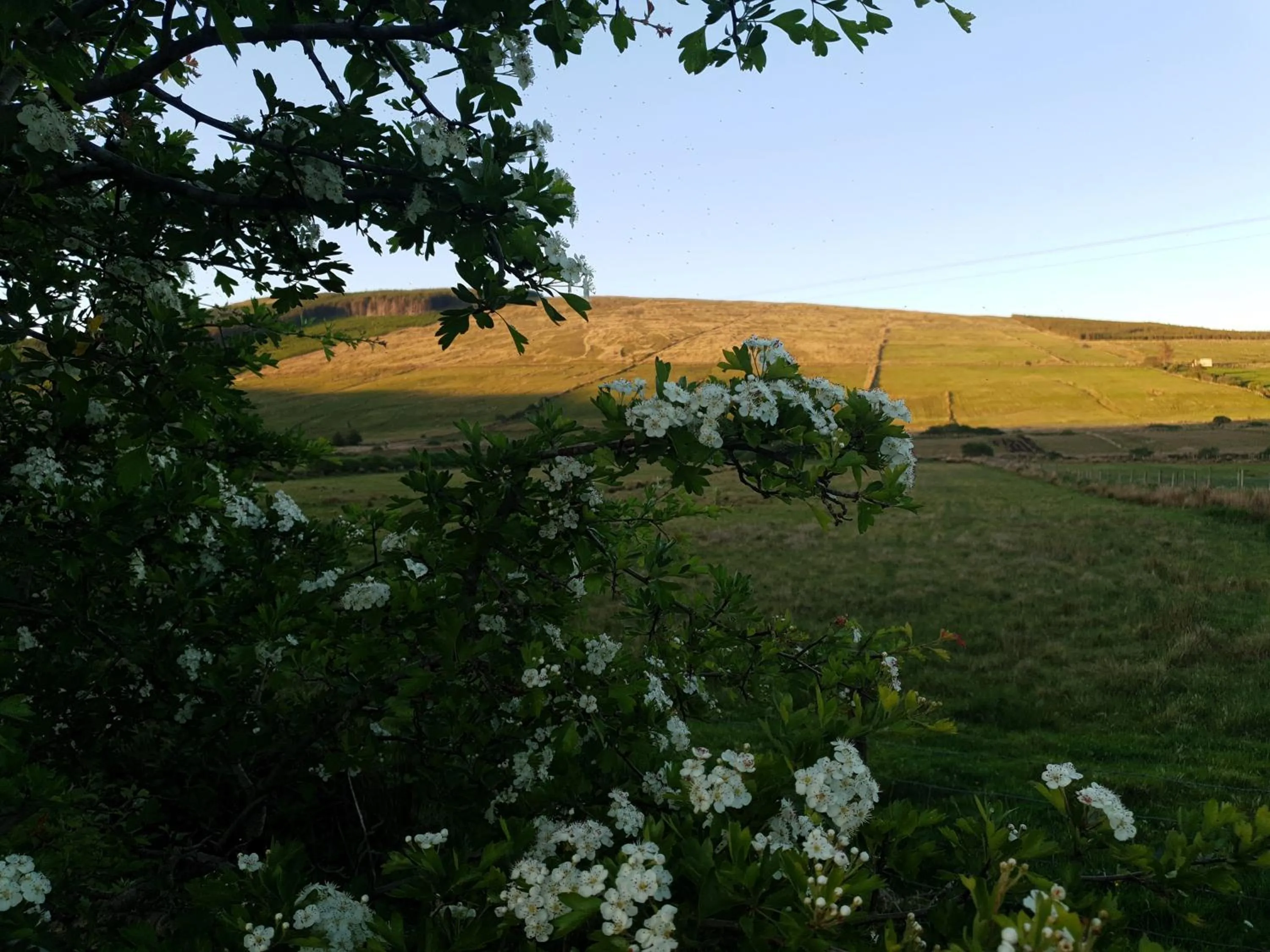 Natural landscape in An Charraig Ban on the wild Atlantic way F94WT02