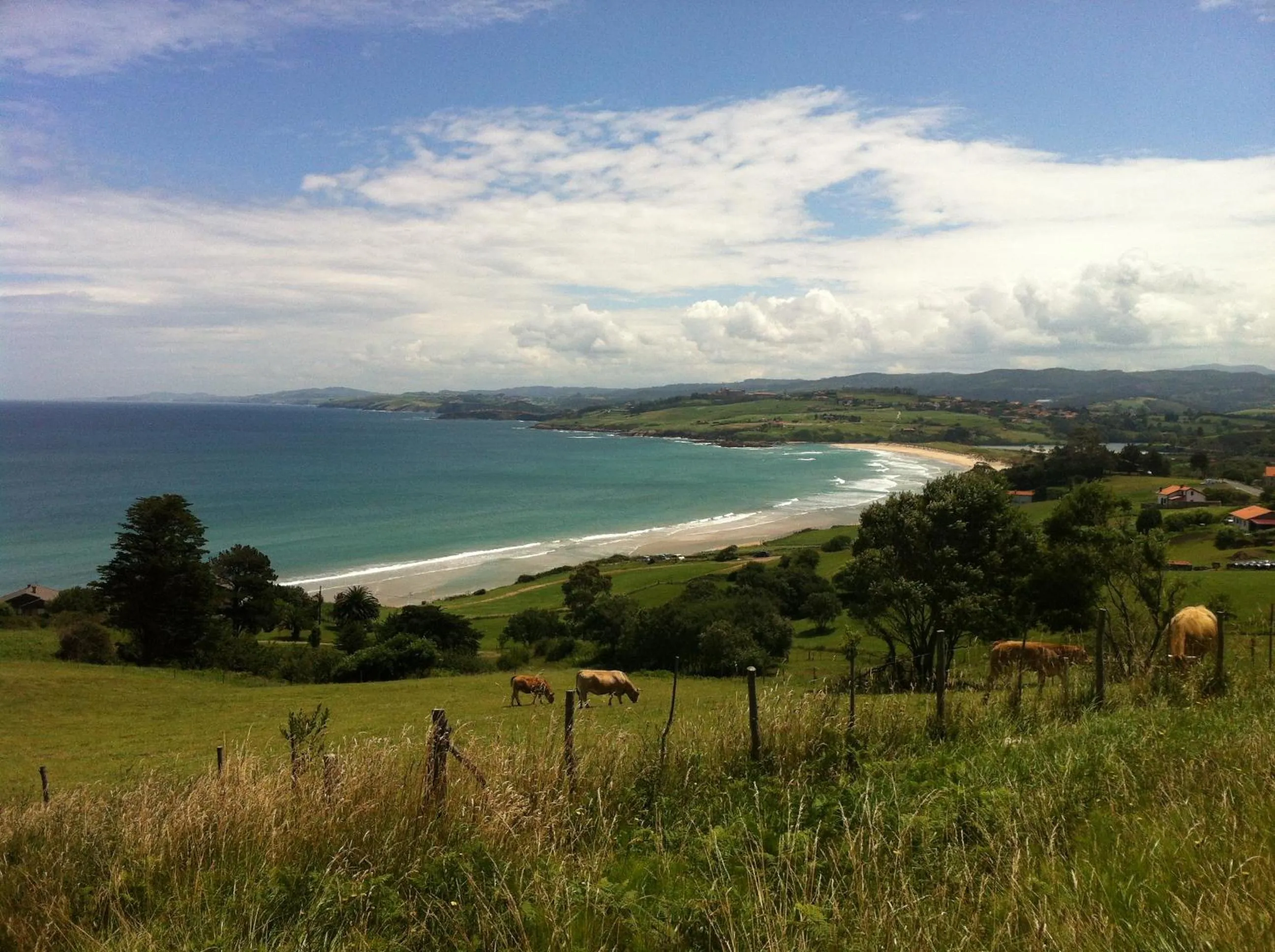 Natural landscape in Marina de Campios