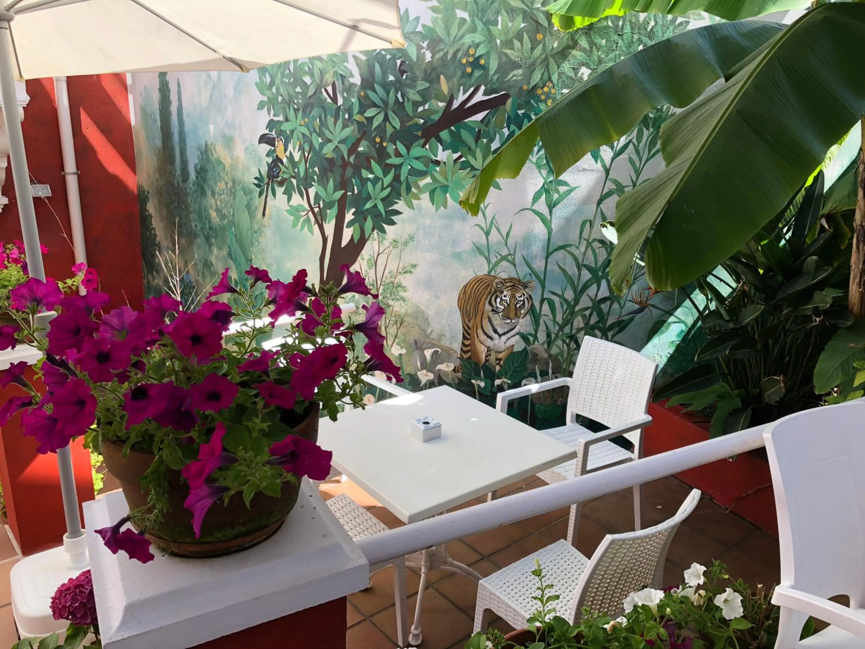 Patio in Marina de Campios