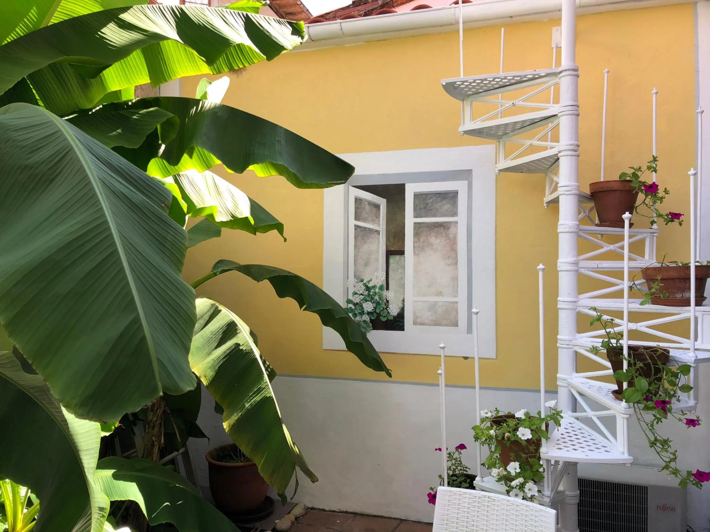 Garden in Marina de Campios