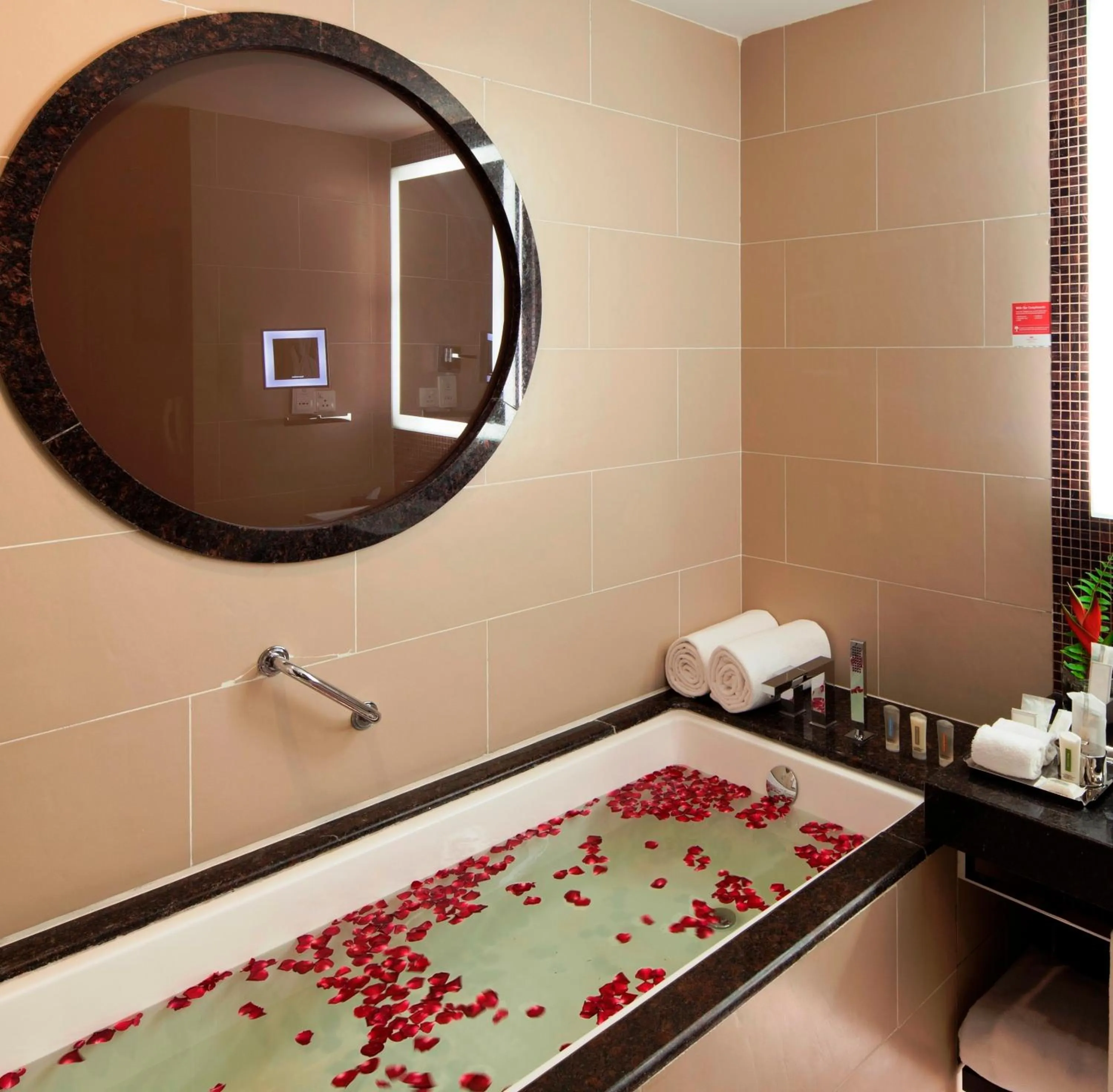 Bathroom, Bed in The Oterra