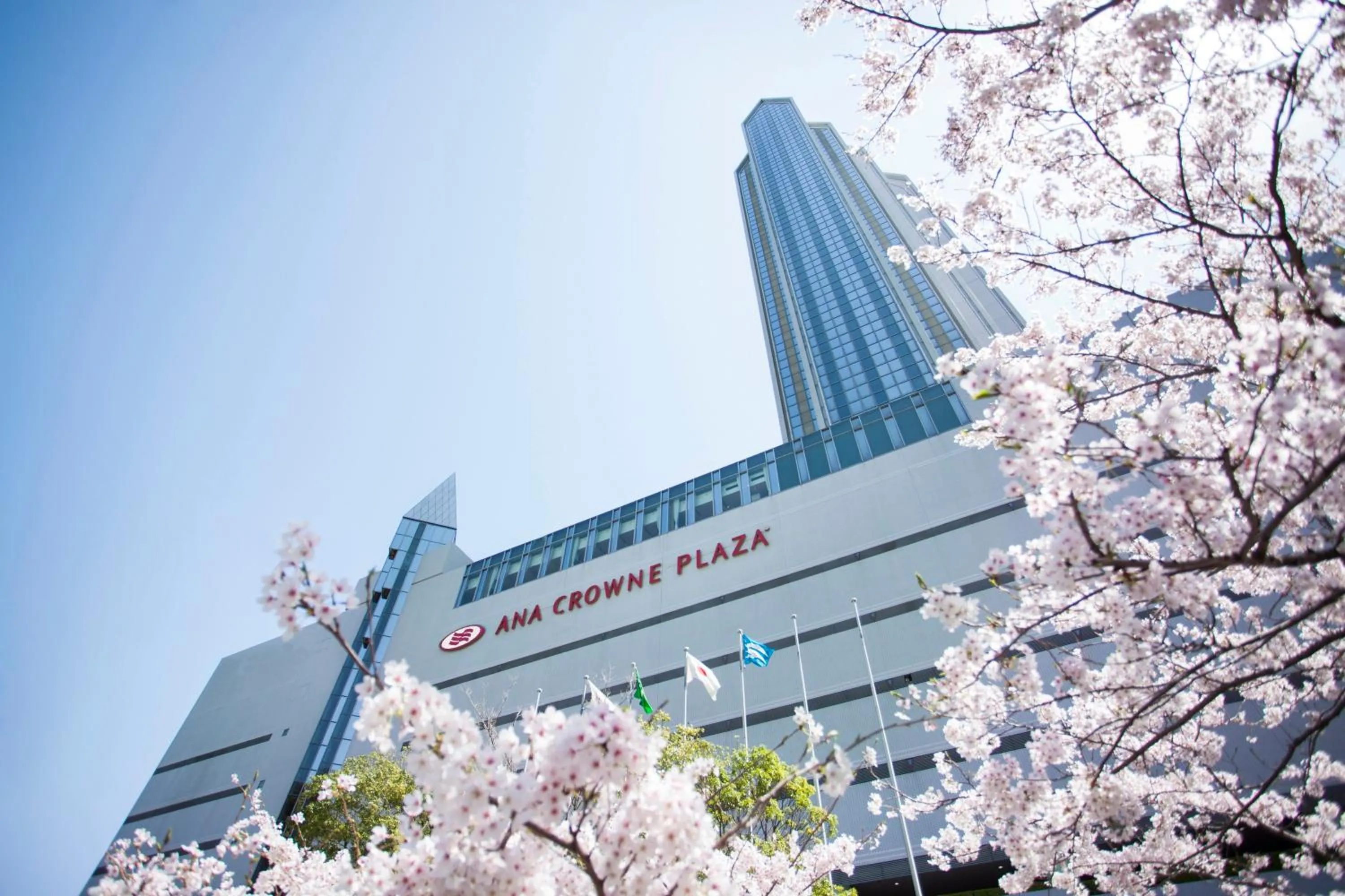 Spring in ANA Crowne Plaza Kobe by IHG