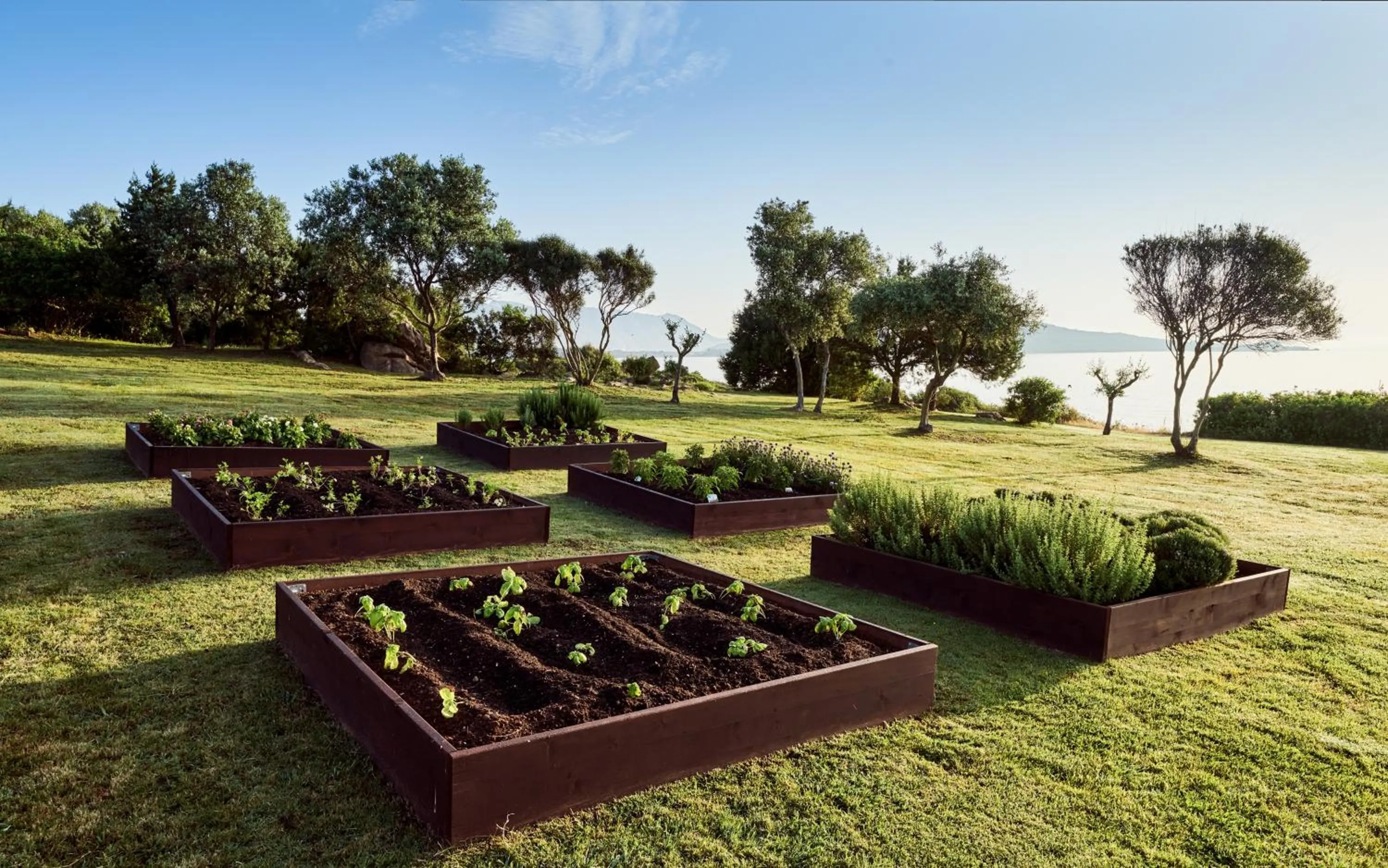 Area and facilities in Due Lune Puntaldia Resort & Golf