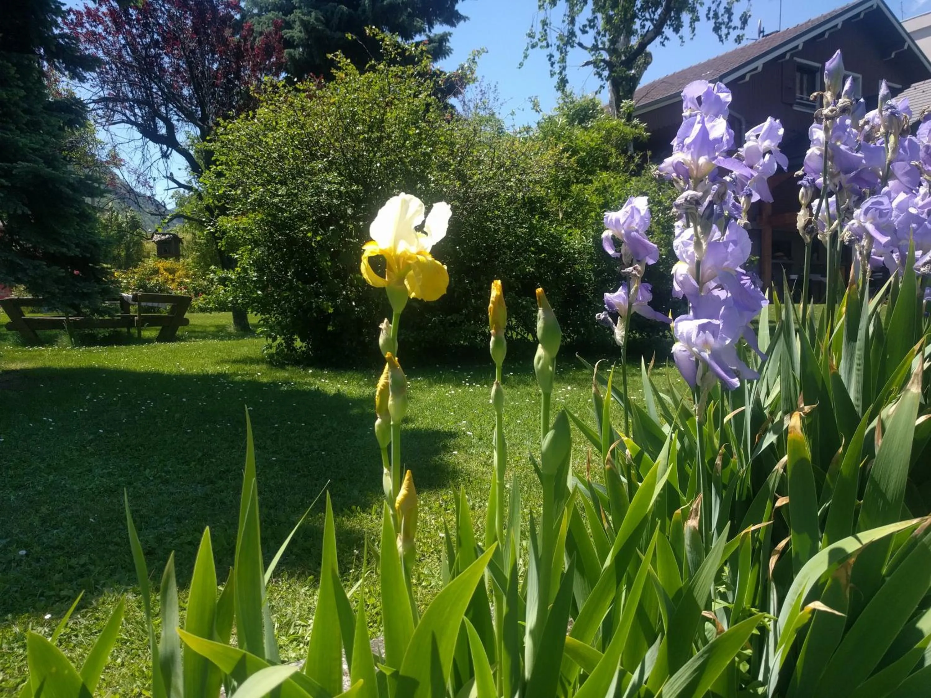 Garden in Chalet Les Cols - Chambres avec terrasse & jardin - proche de la nouvelle gare