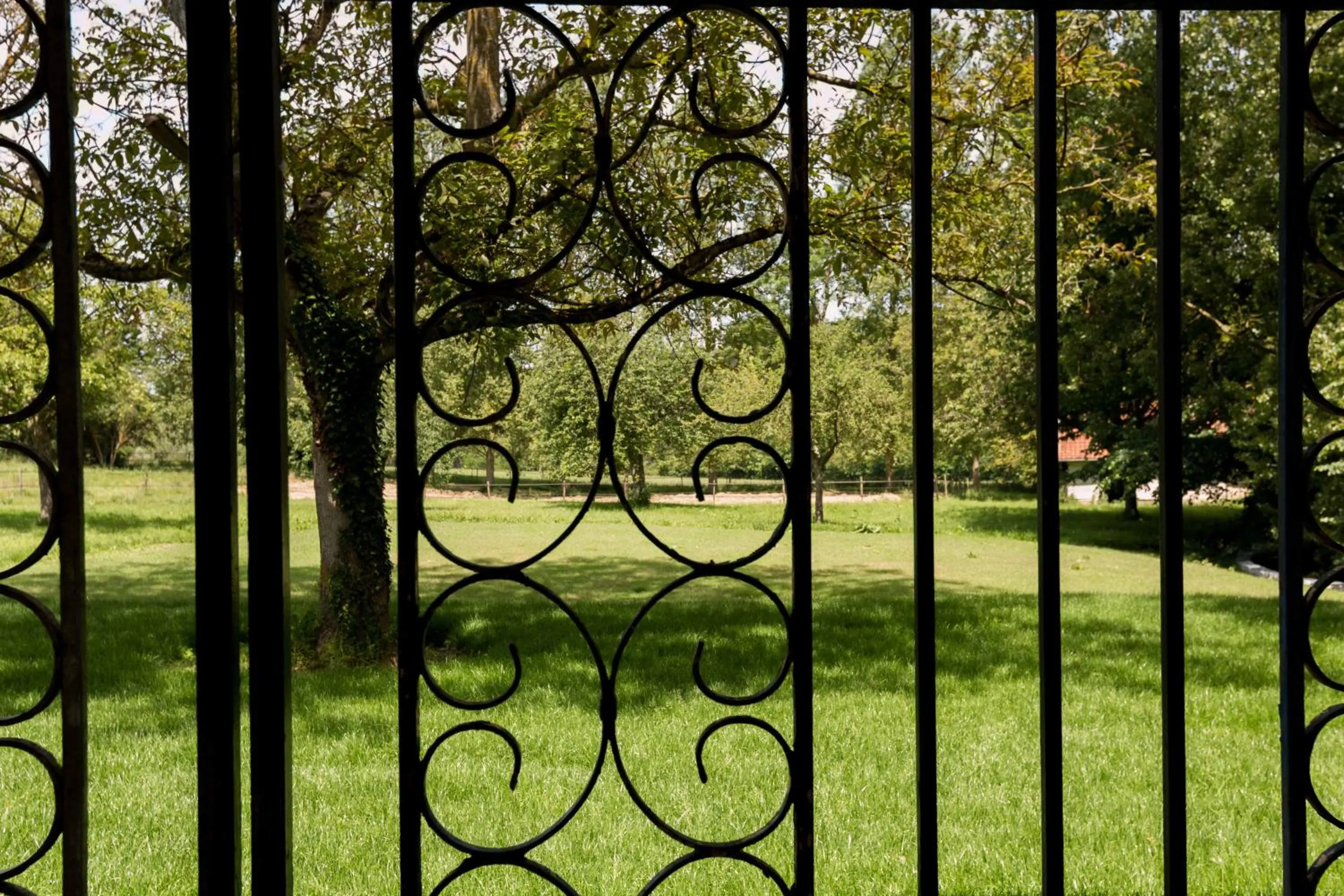 Garden in La Pomme Pétillante