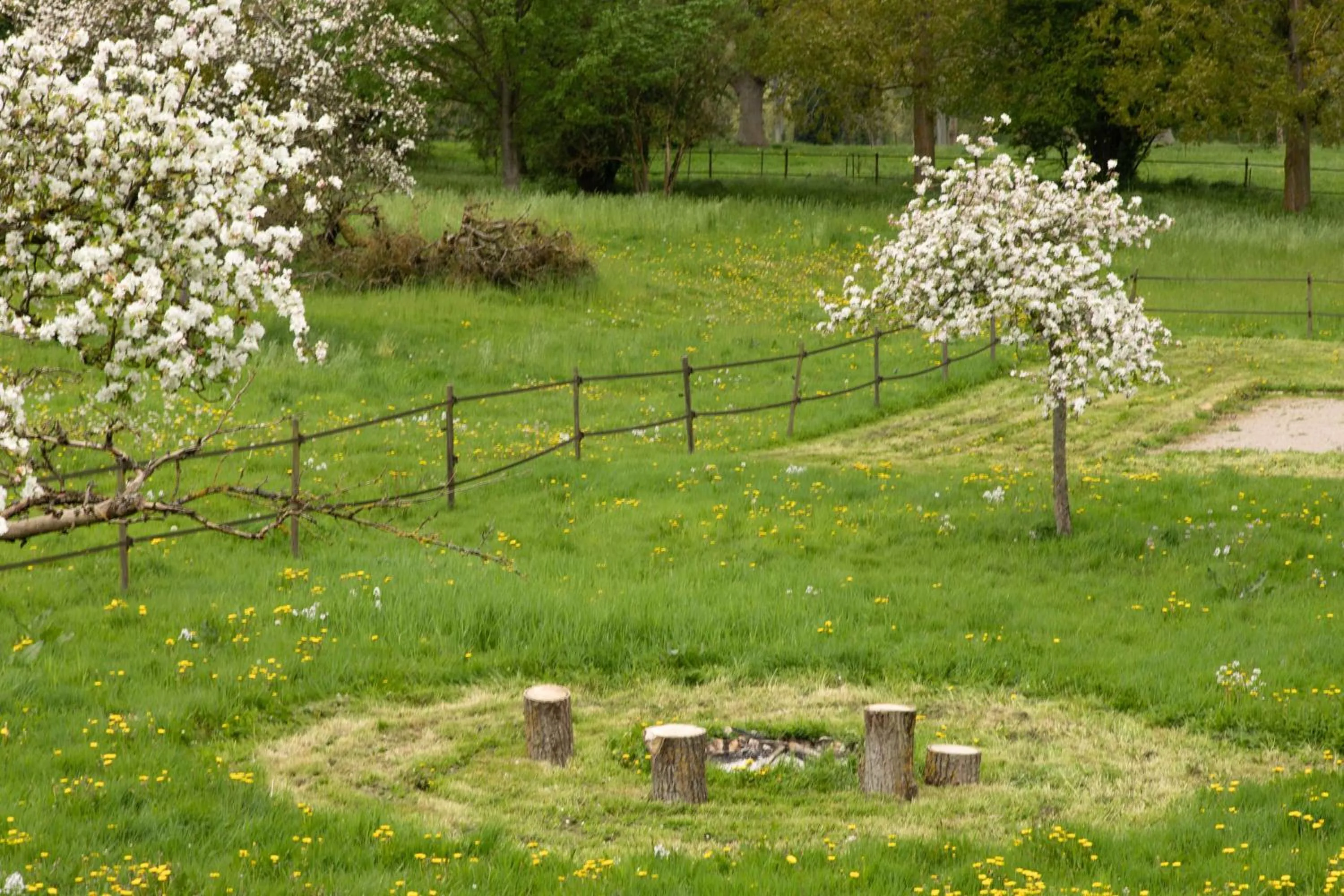 Activities in La Pomme Pétillante