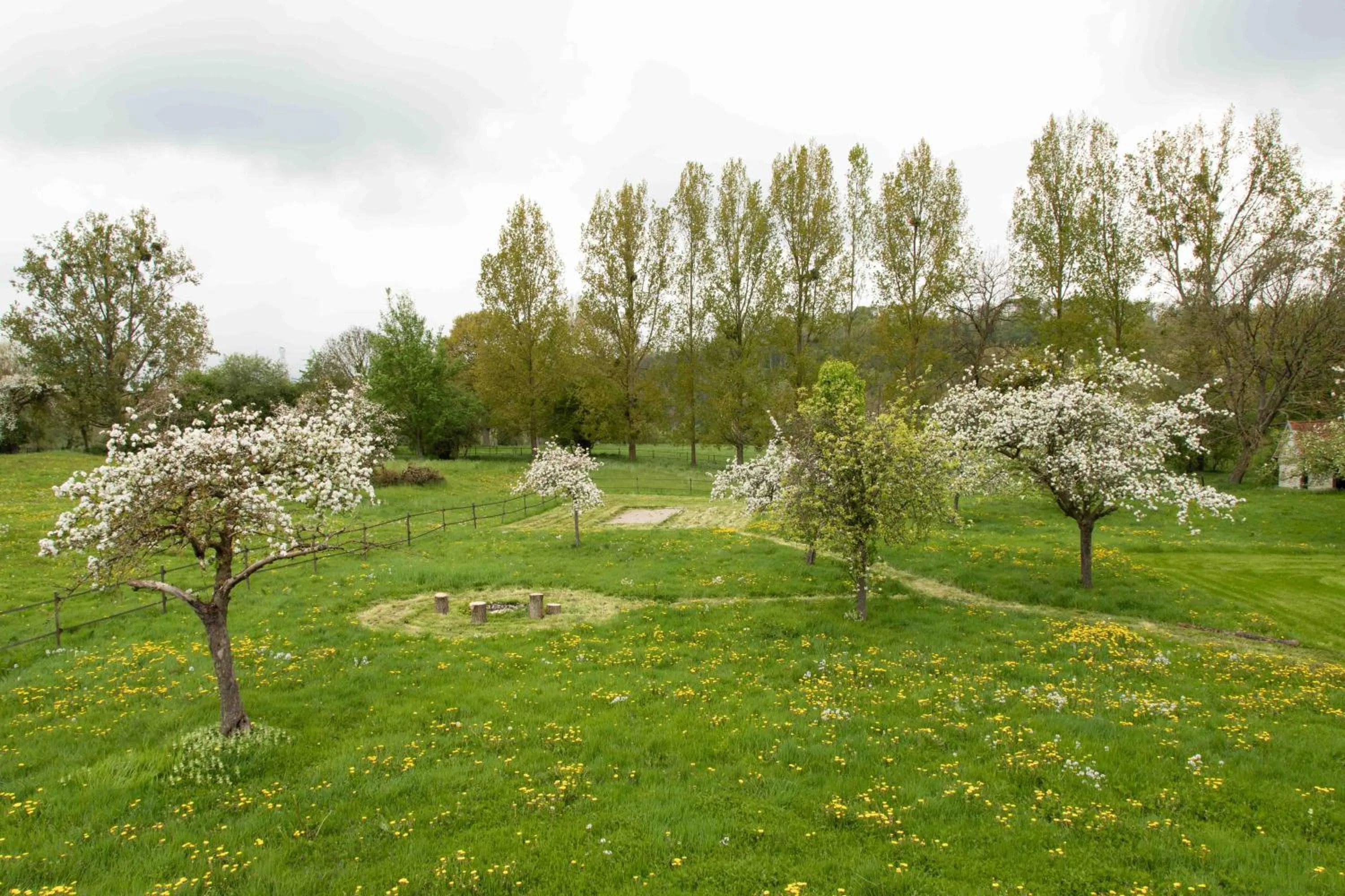 Garden in La Pomme Pétillante