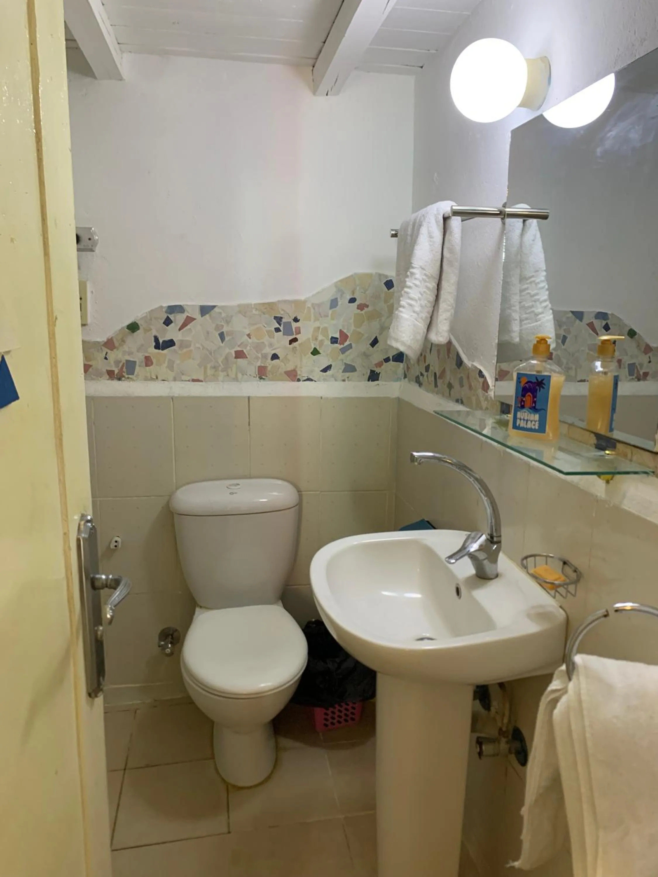 Nubian Palace Eco Lodge