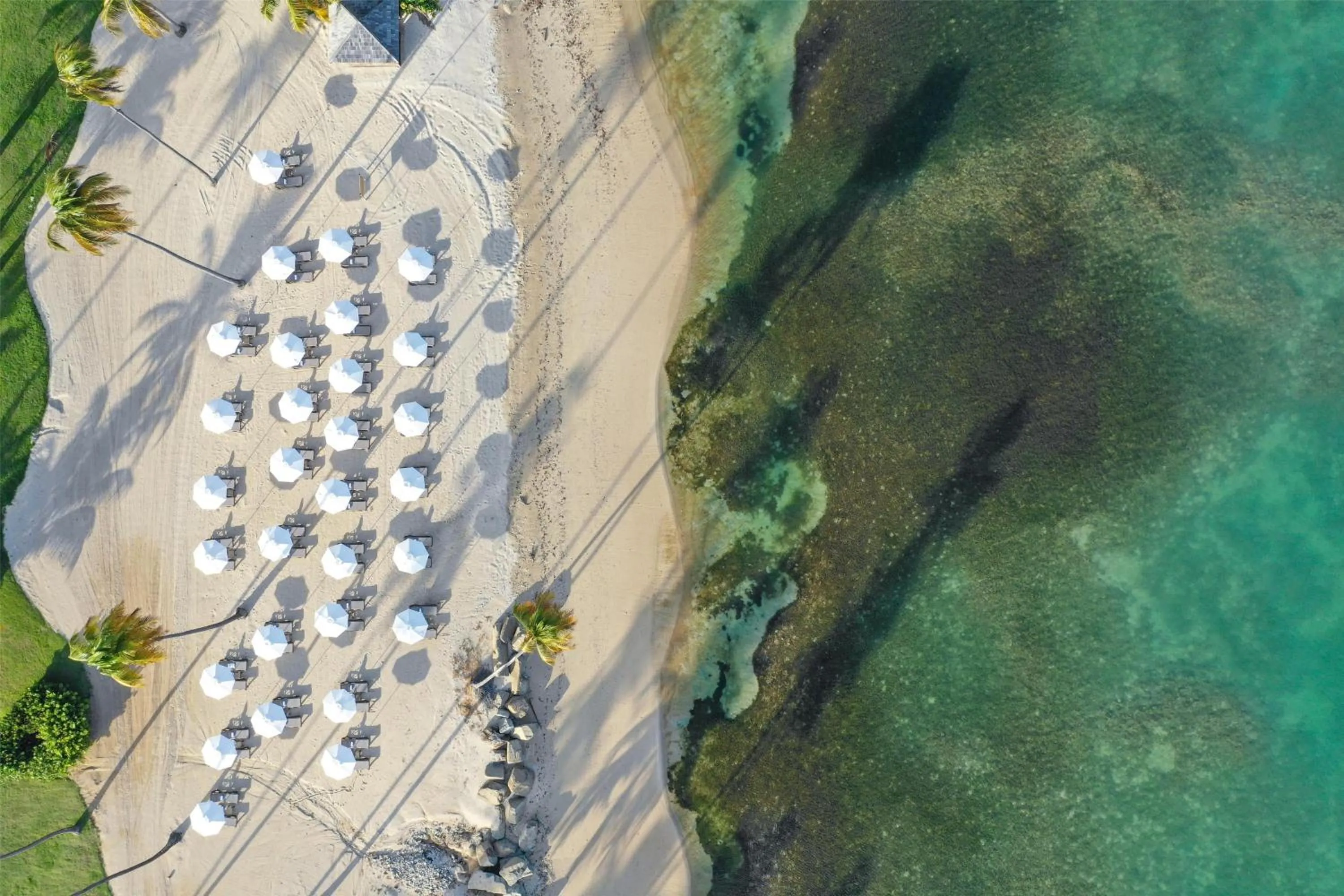 Day in Hyatt Regency Grand Reserve Puerto Rico