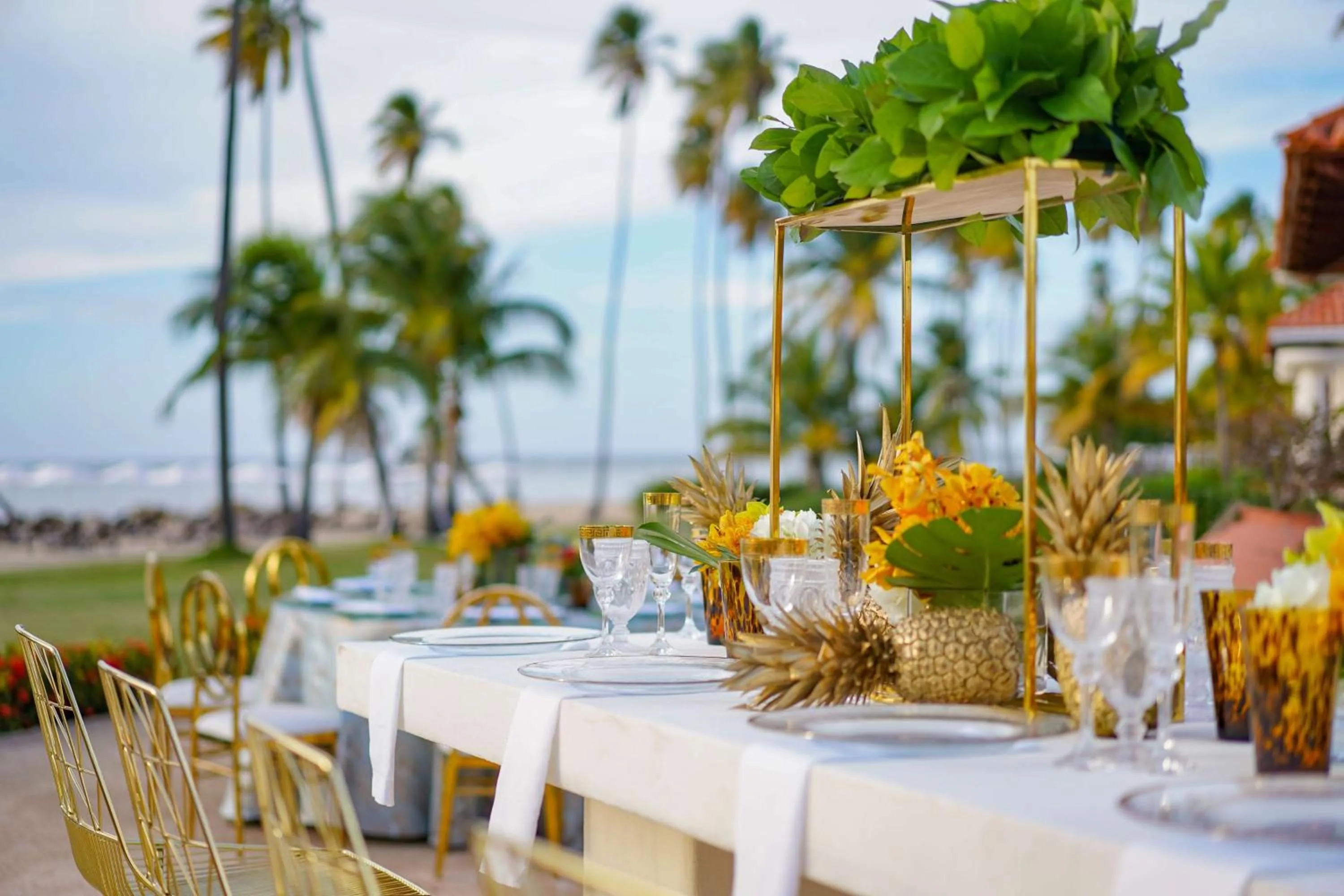 Banquet/Function facilities in Hyatt Regency Grand Reserve Puerto Rico