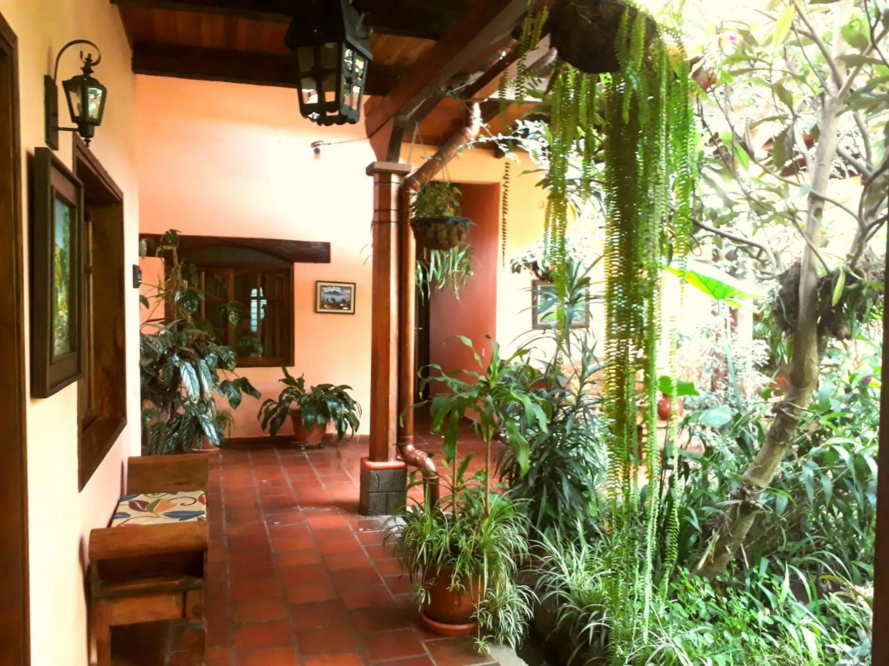 Posada Papa Chepe