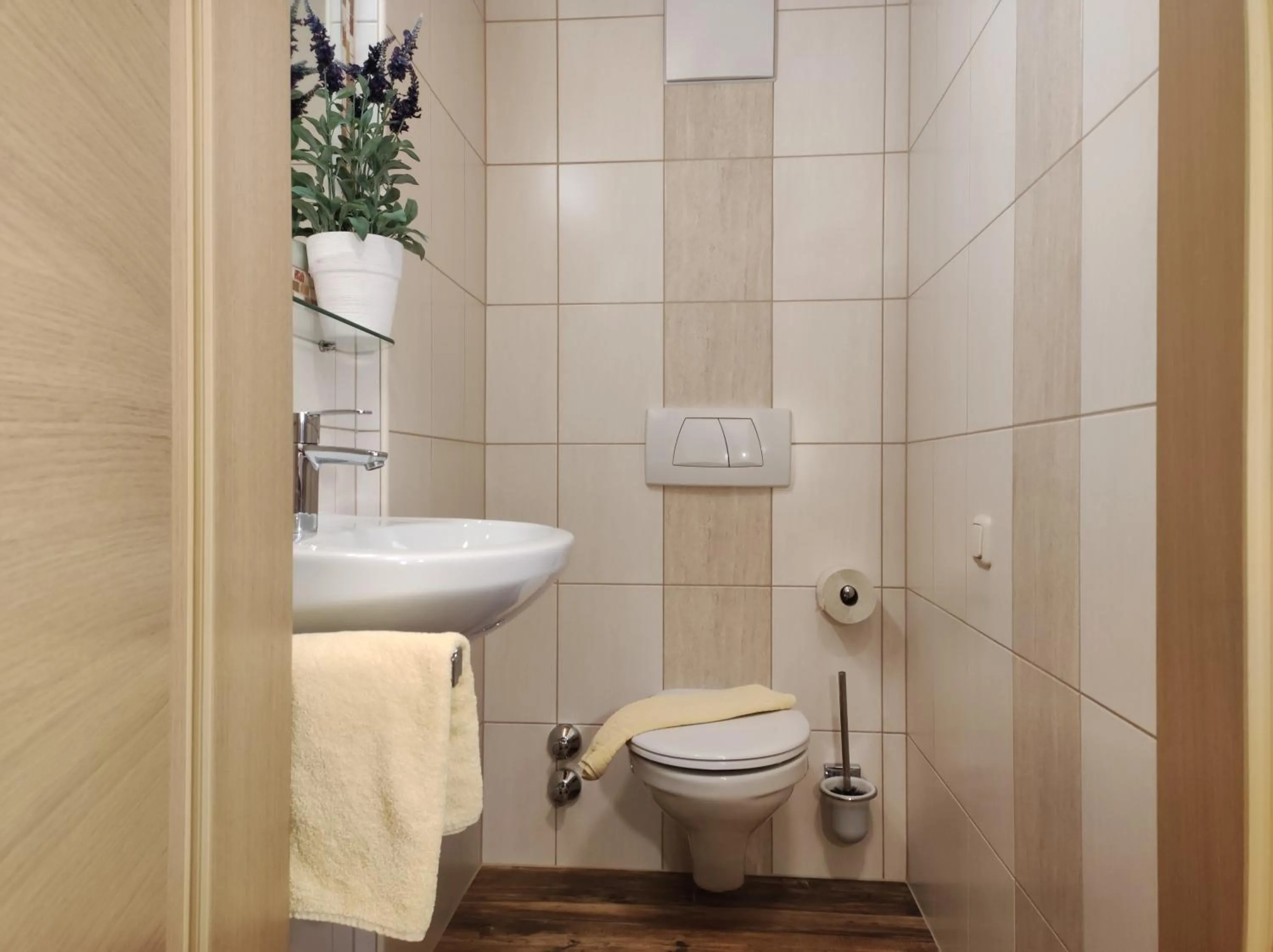 Toilet in Ferienhaus Birgit - inklusive Eintritt Alpentherme Bad Hofgastein
