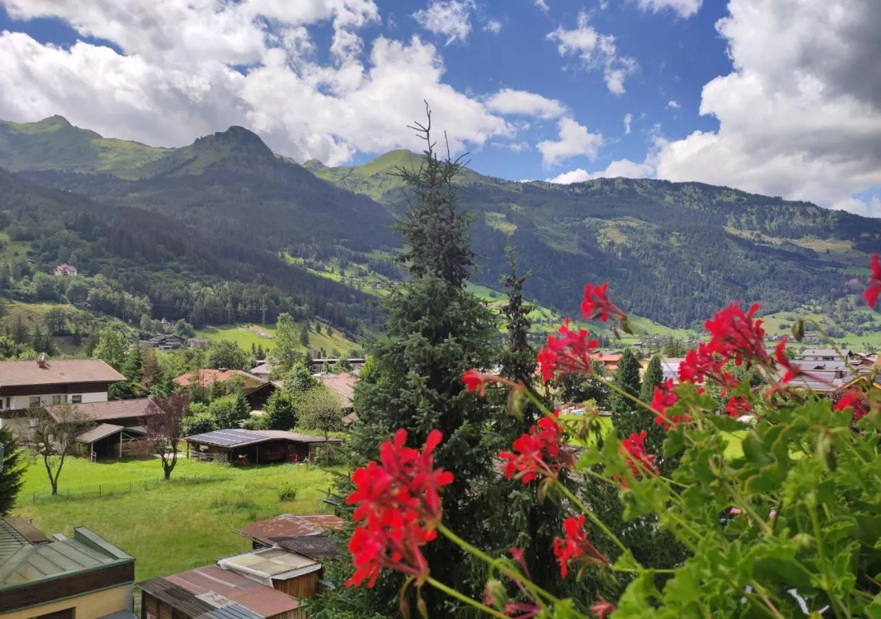 Mountain view in Ferienhaus Birgit - inklusive Eintritt Alpentherme Bad Hofgastein