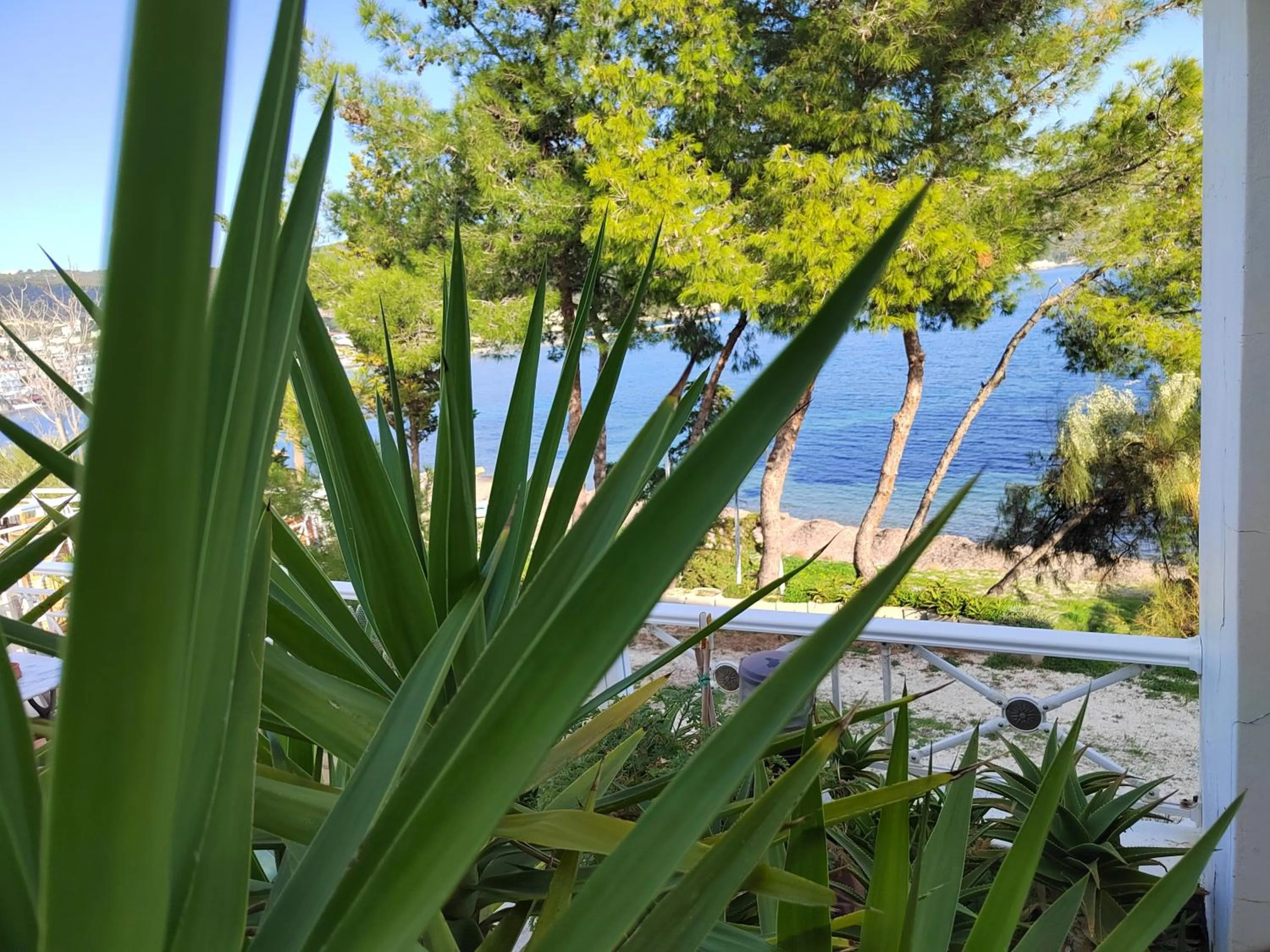 Natural landscape in Oneiro glico