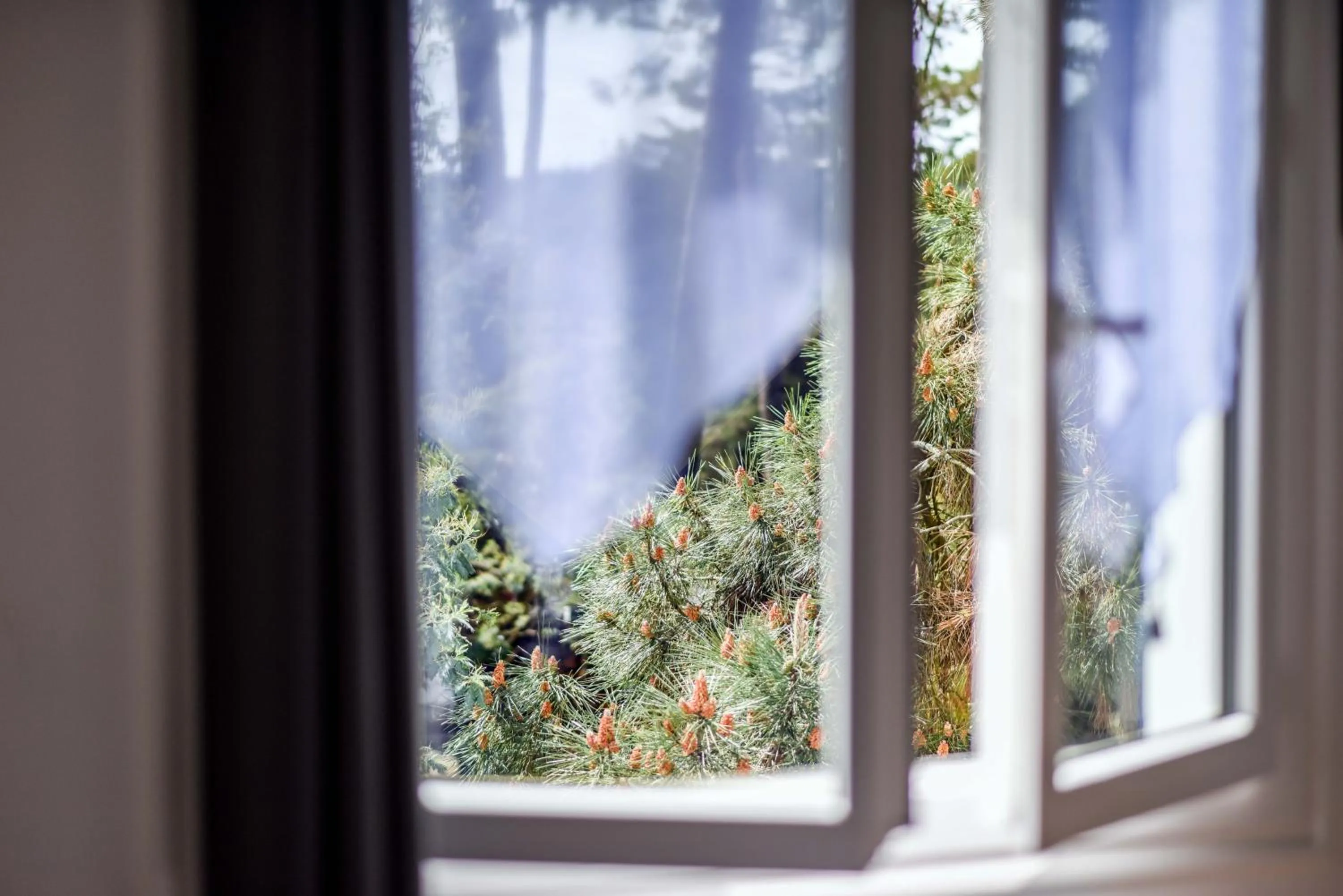 Natural landscape in Logis Hôtel Emeraude des Bois