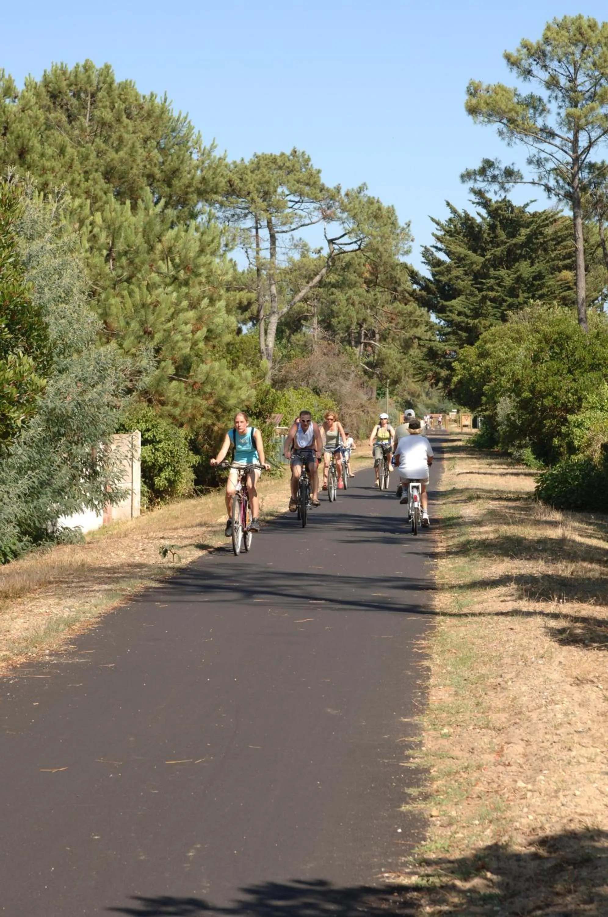 Day in Logis Hôtel Emeraude des Bois
