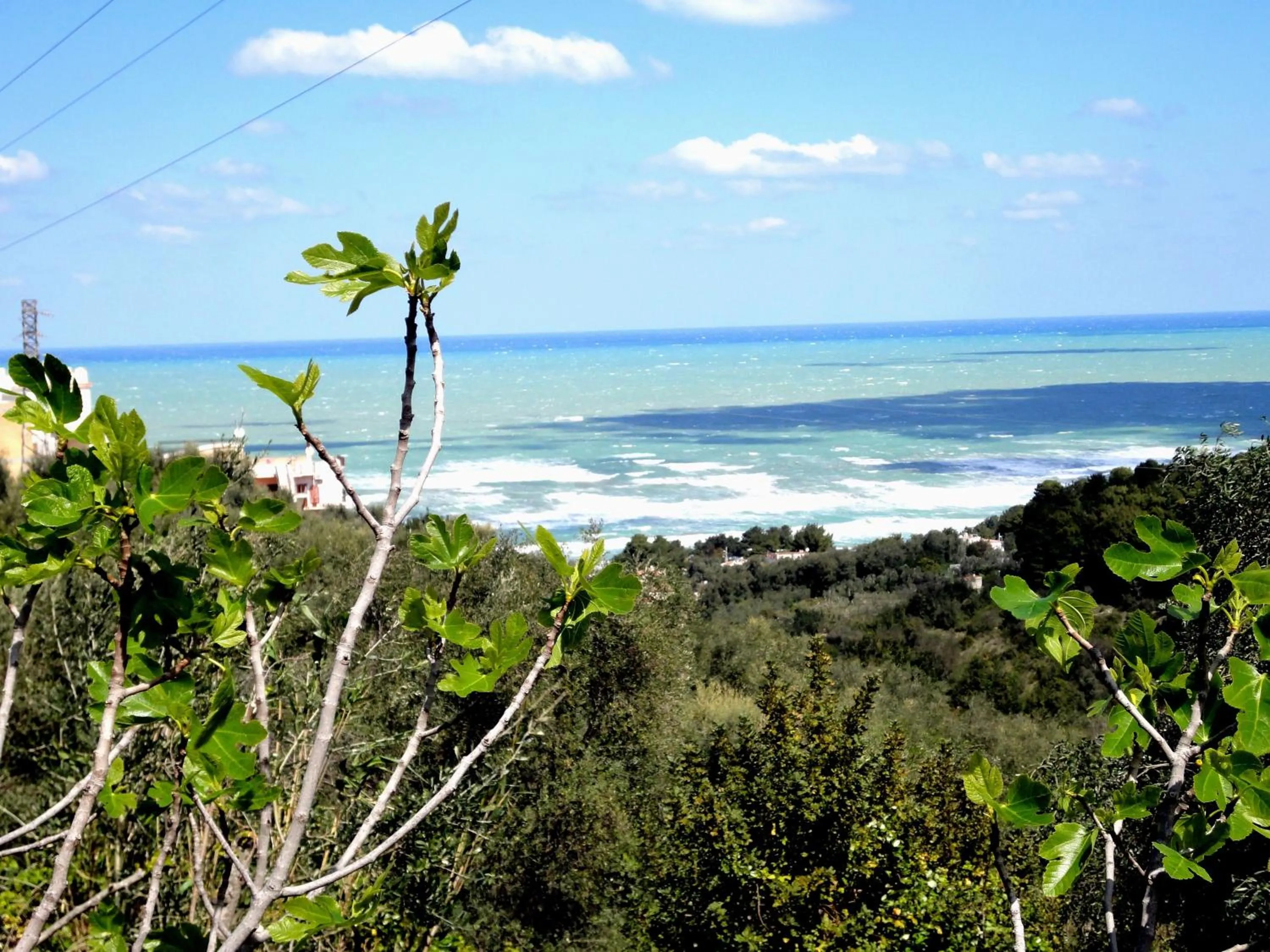 Natural landscape in Residenza Piccolo Uliveto