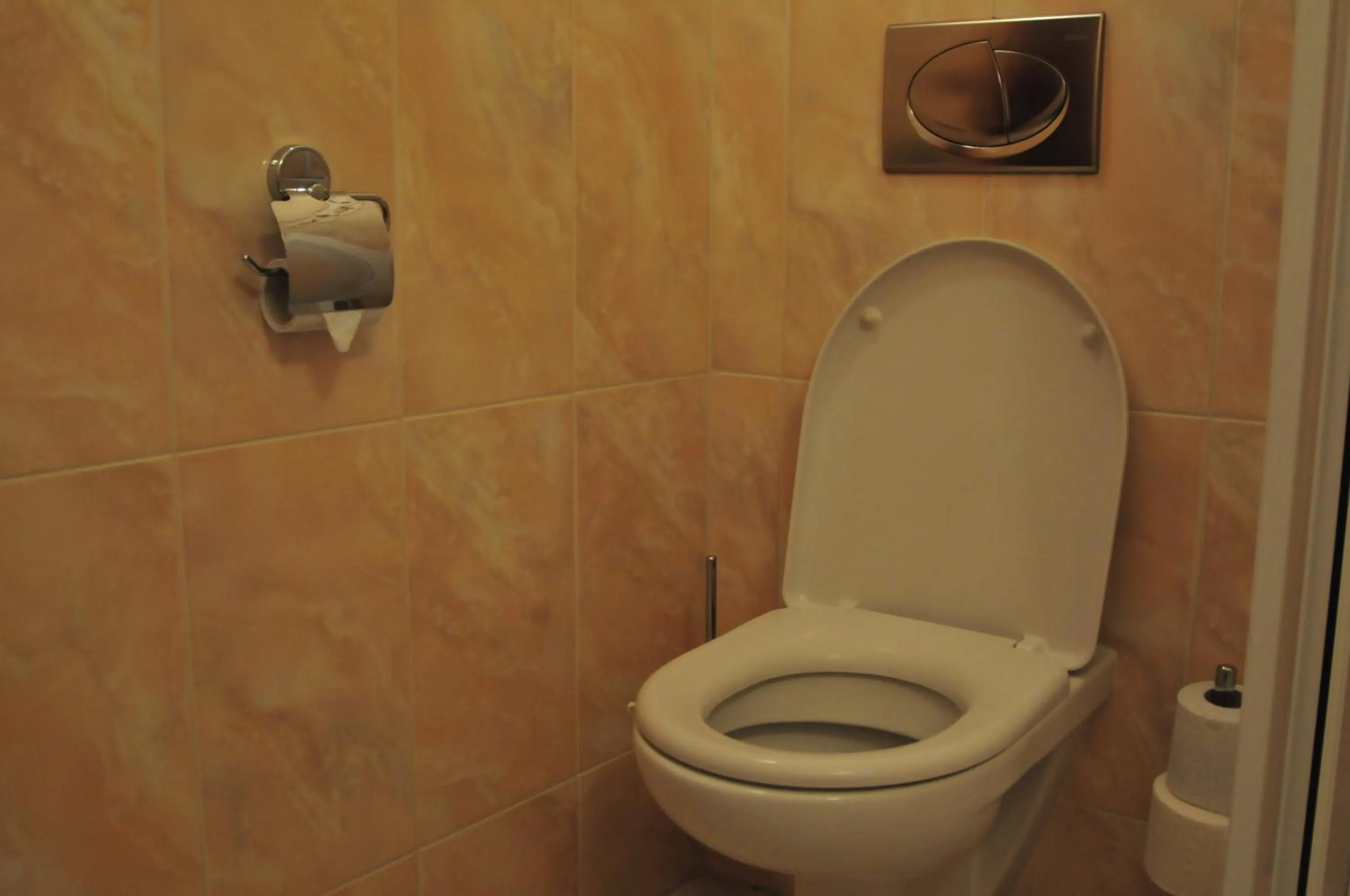 Bathroom in Hotel Pegas Brno