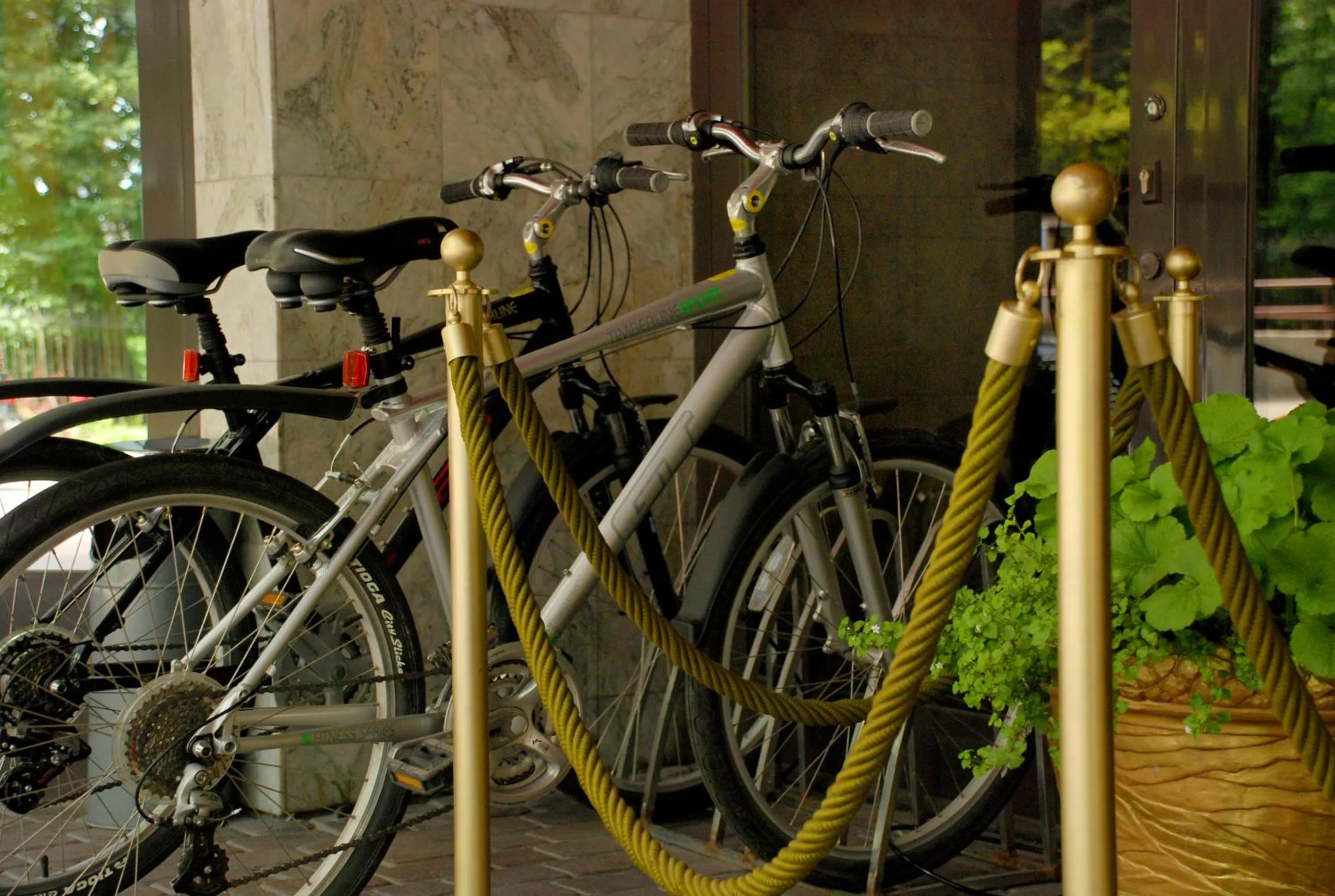 Cycling in Premier Hotel Dnister