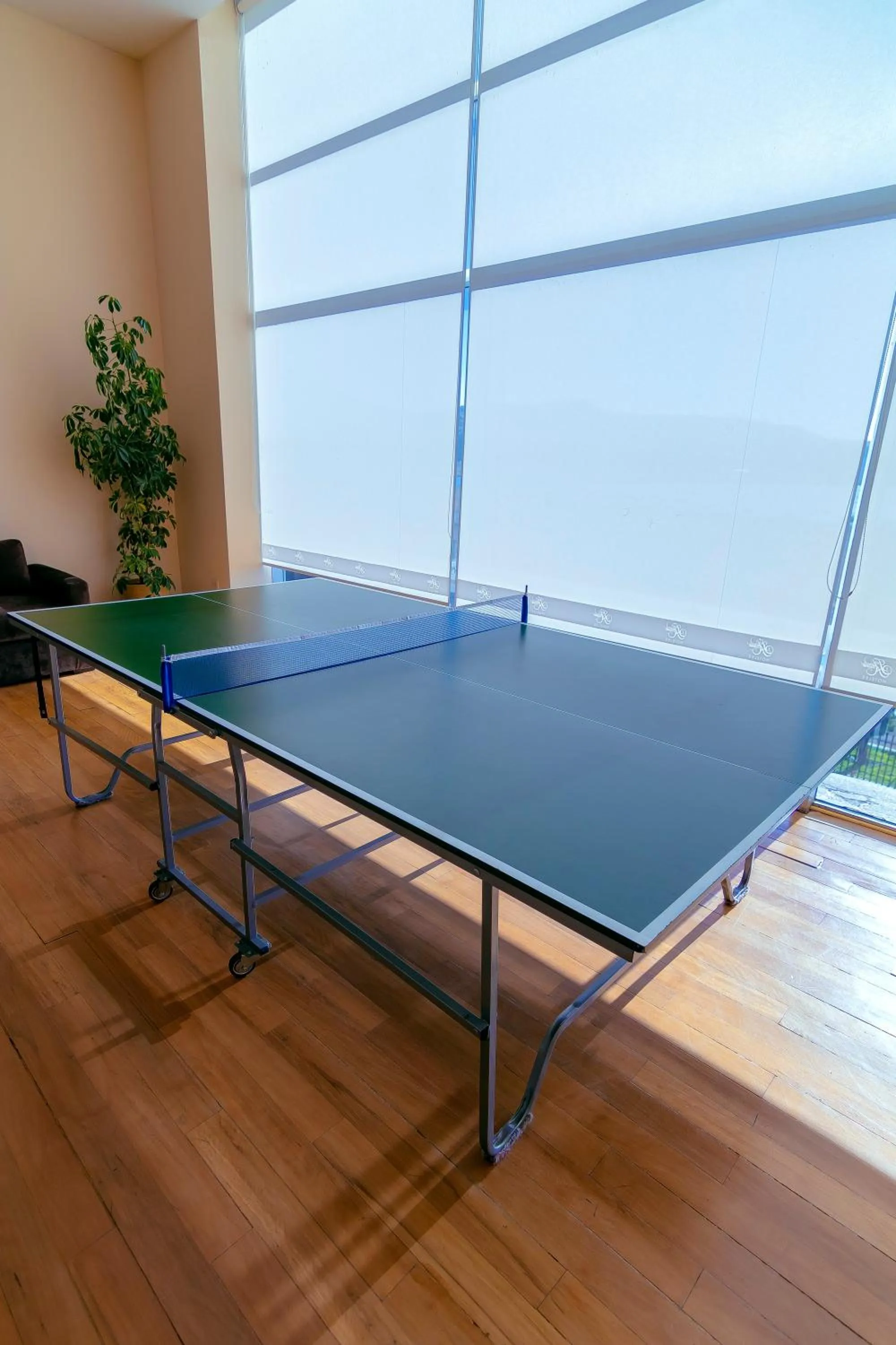 Game Room in Hotel Jose Antonio Puno