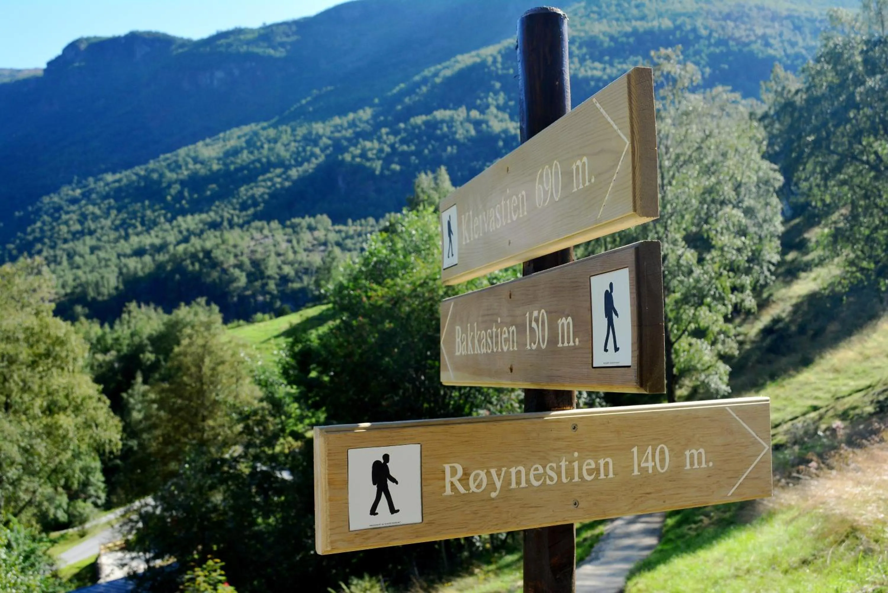 Activities in Heimly Pensjonat