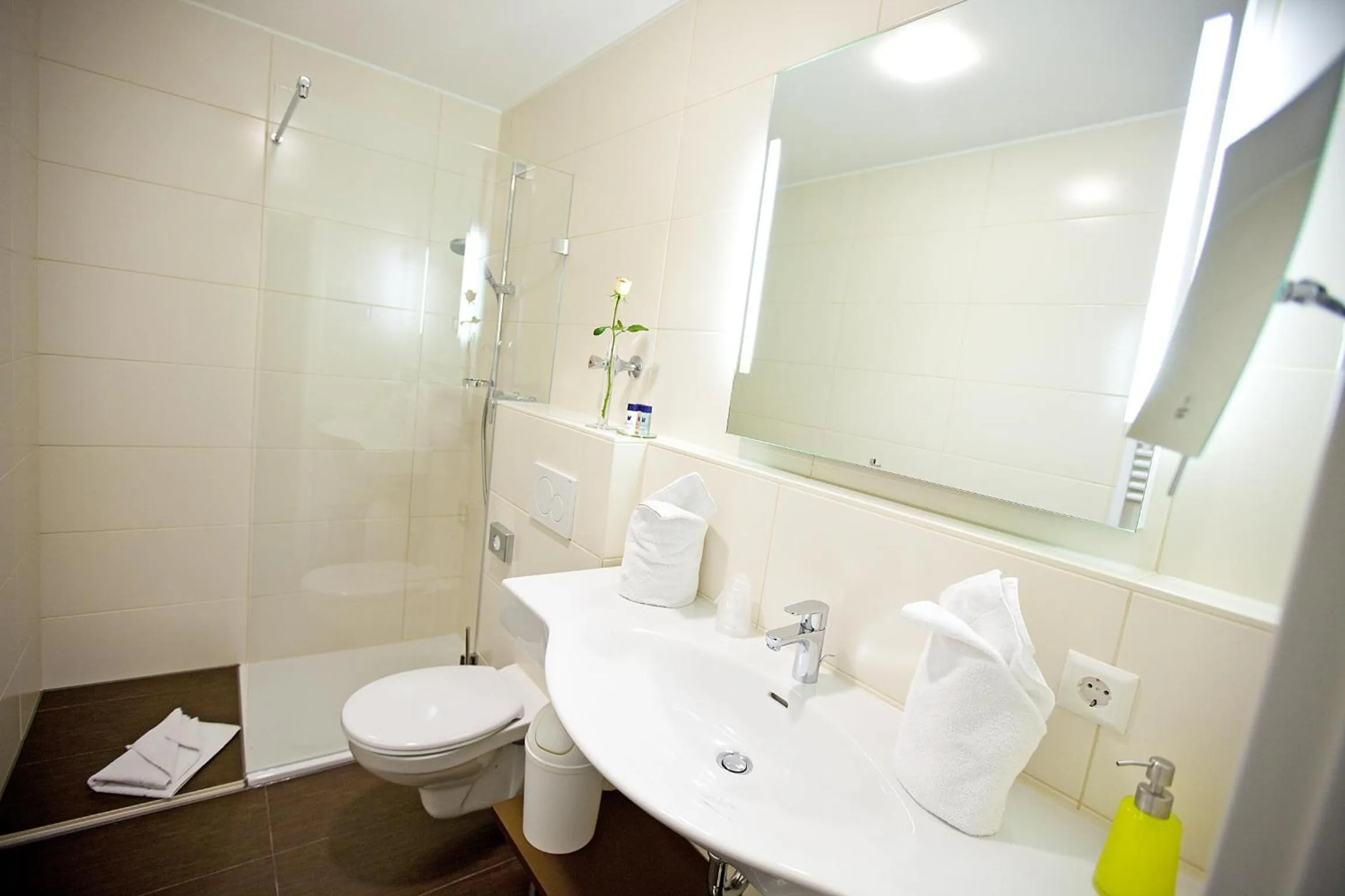 Toilet in Hotel Hirsch