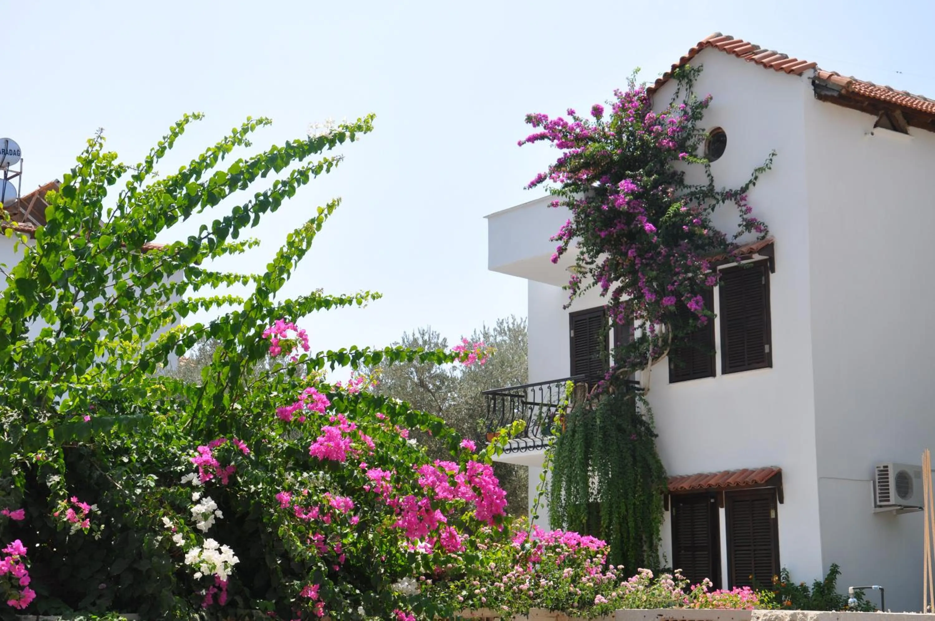 Facade/entrance in Papermoon Hotel & Apartments