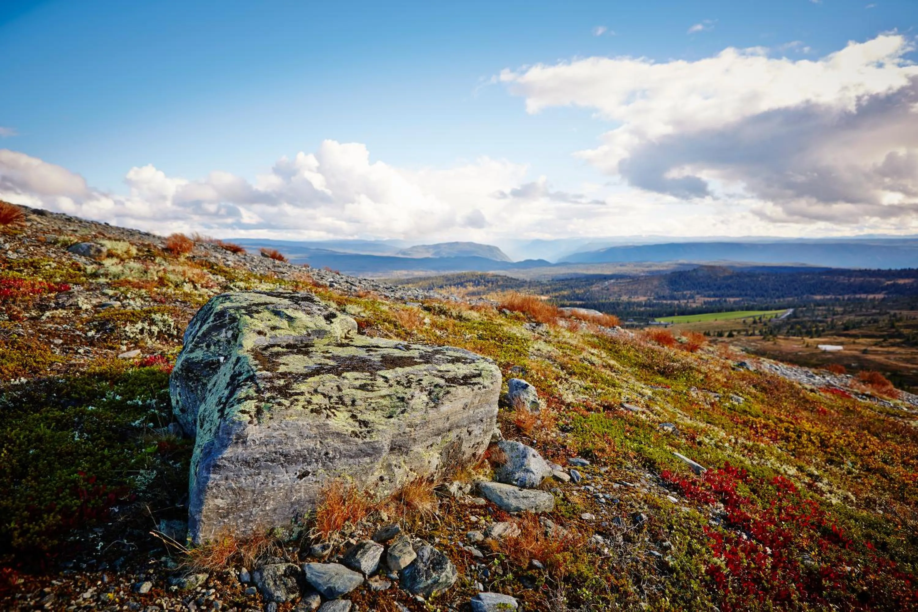 Natural landscape in Storefjell Resort