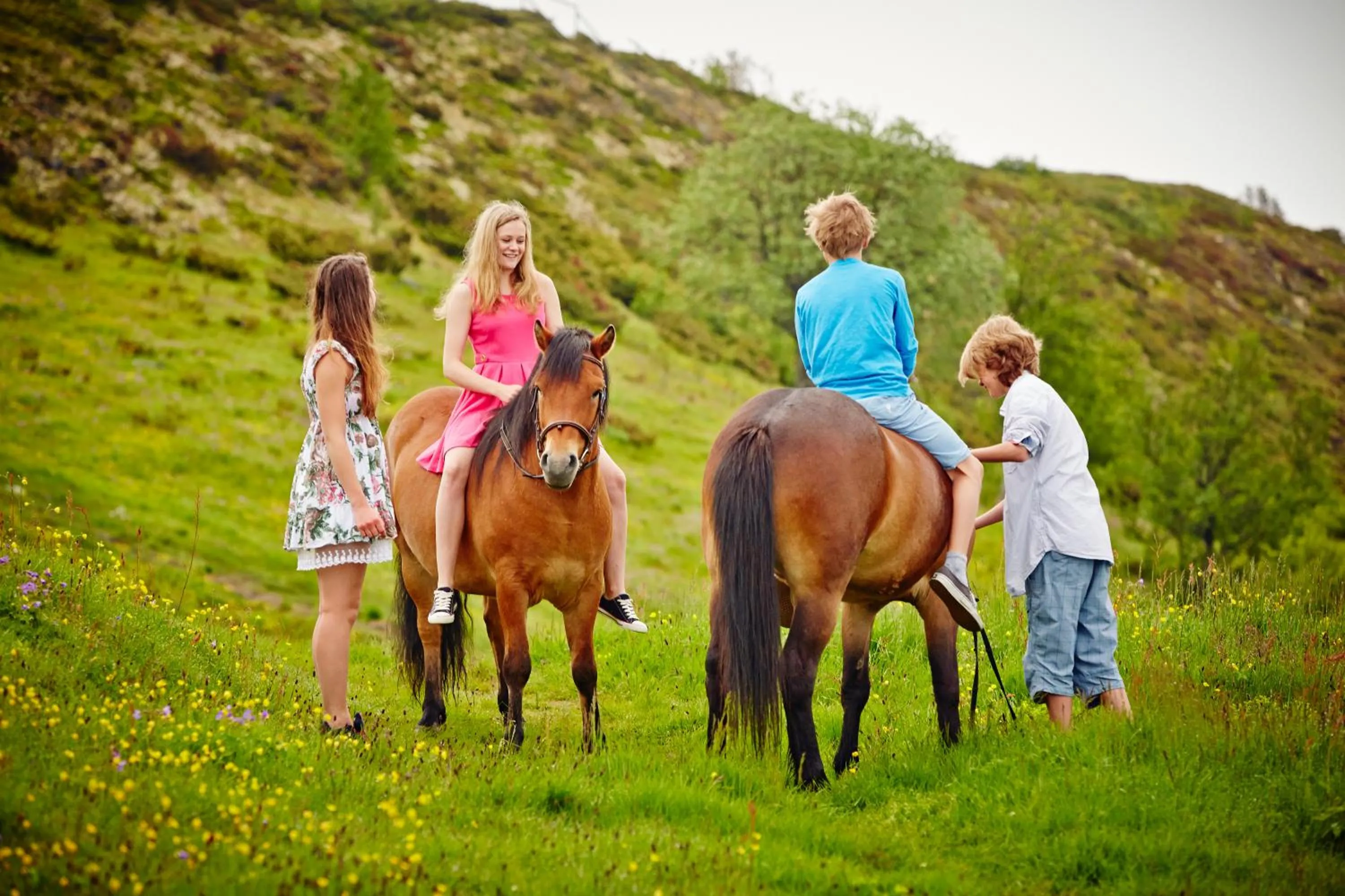 Horse-riding in Storefjell Resort