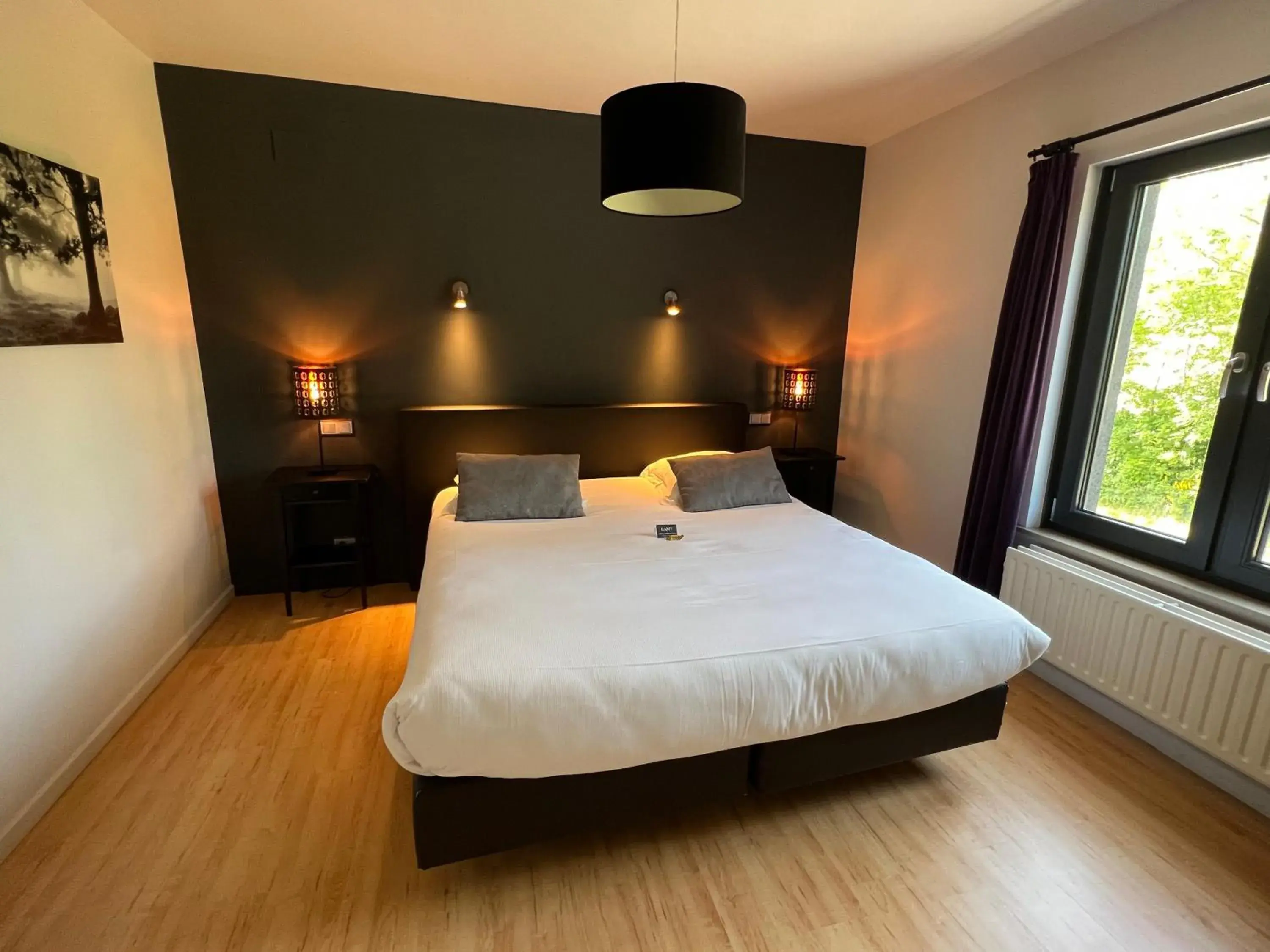 Double Room in Hôtel Restaurant Lamy Double Room in Hôtel Restaurant Lamy