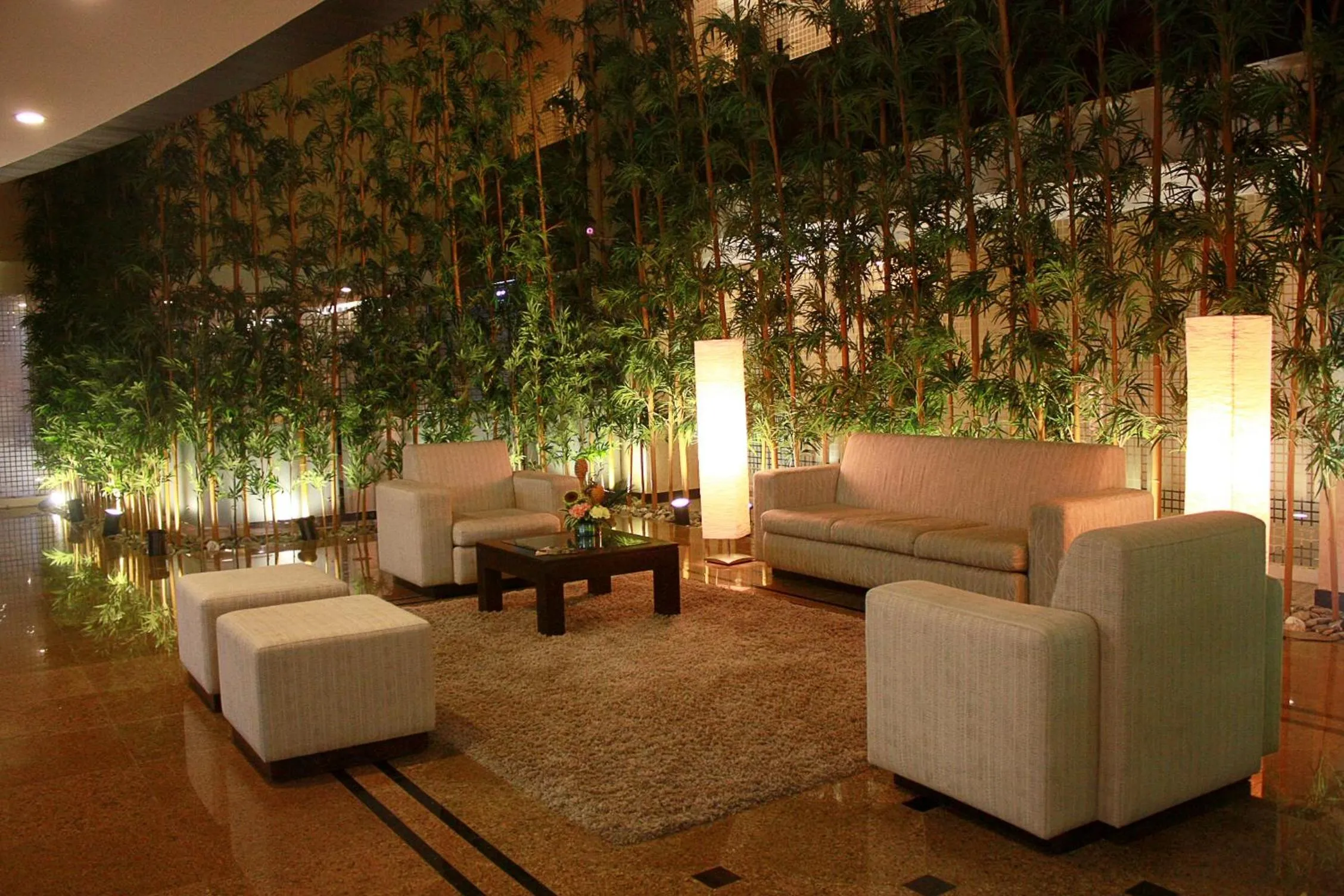 Patio in Eurobuilding Express Maiquetía