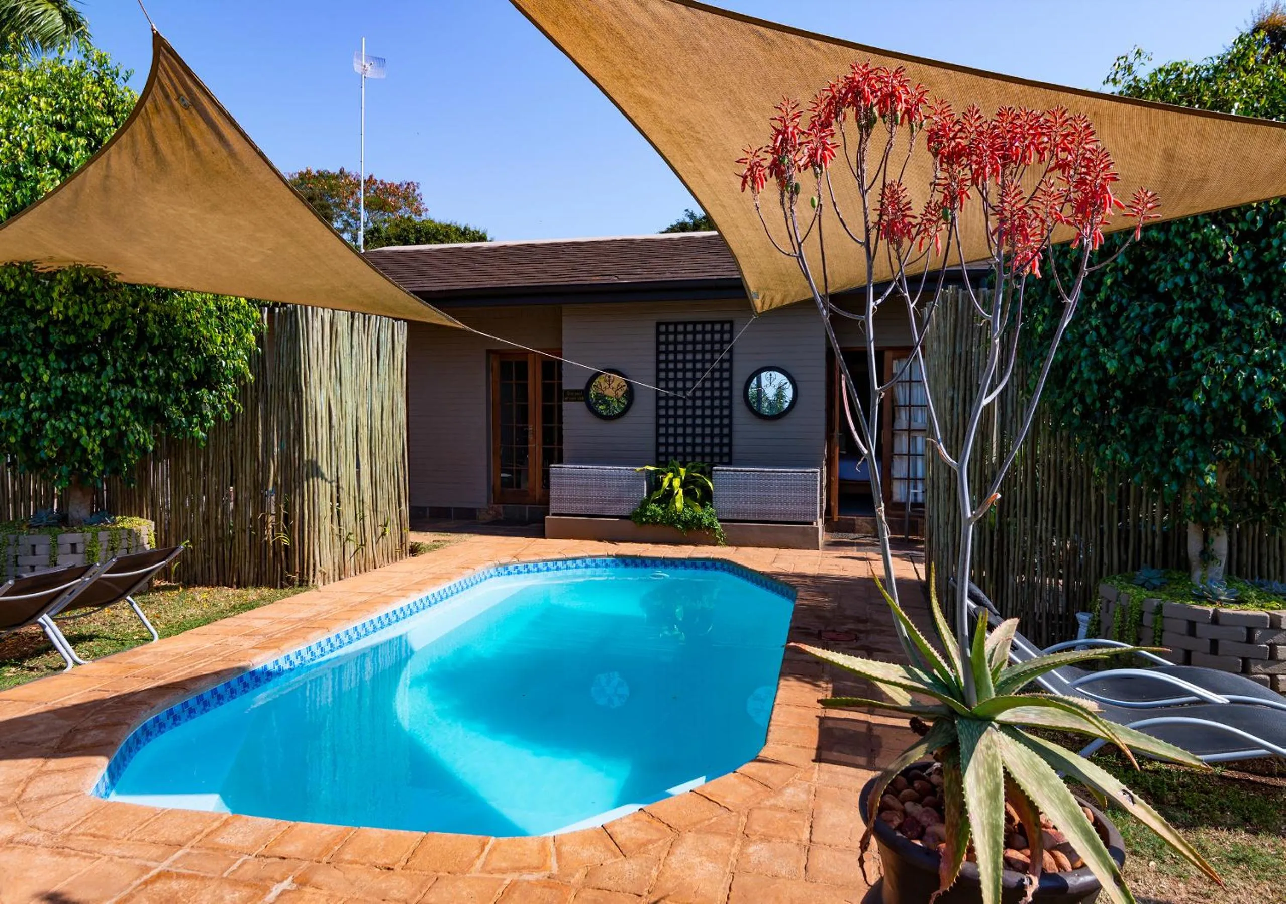 Garden view in Ama Zulu Guesthouse & Safaris