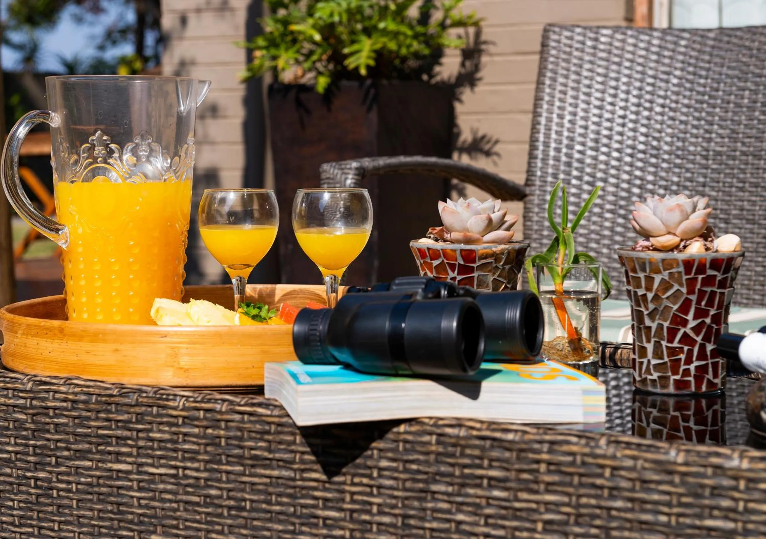 Balcony/Terrace in Ama Zulu Guesthouse & Safaris