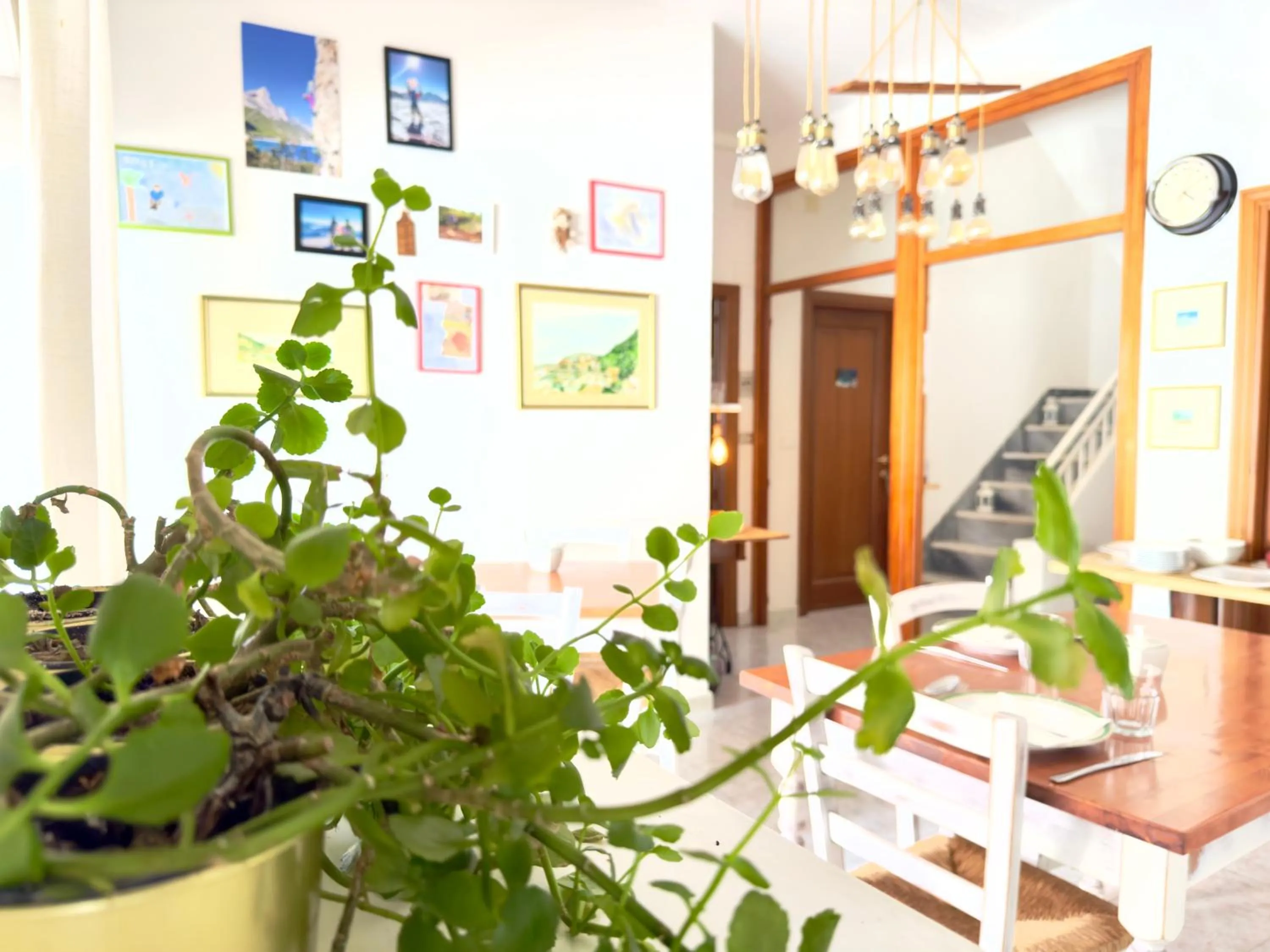 Restaurant/places to eat in B&B Selvaggio Blu