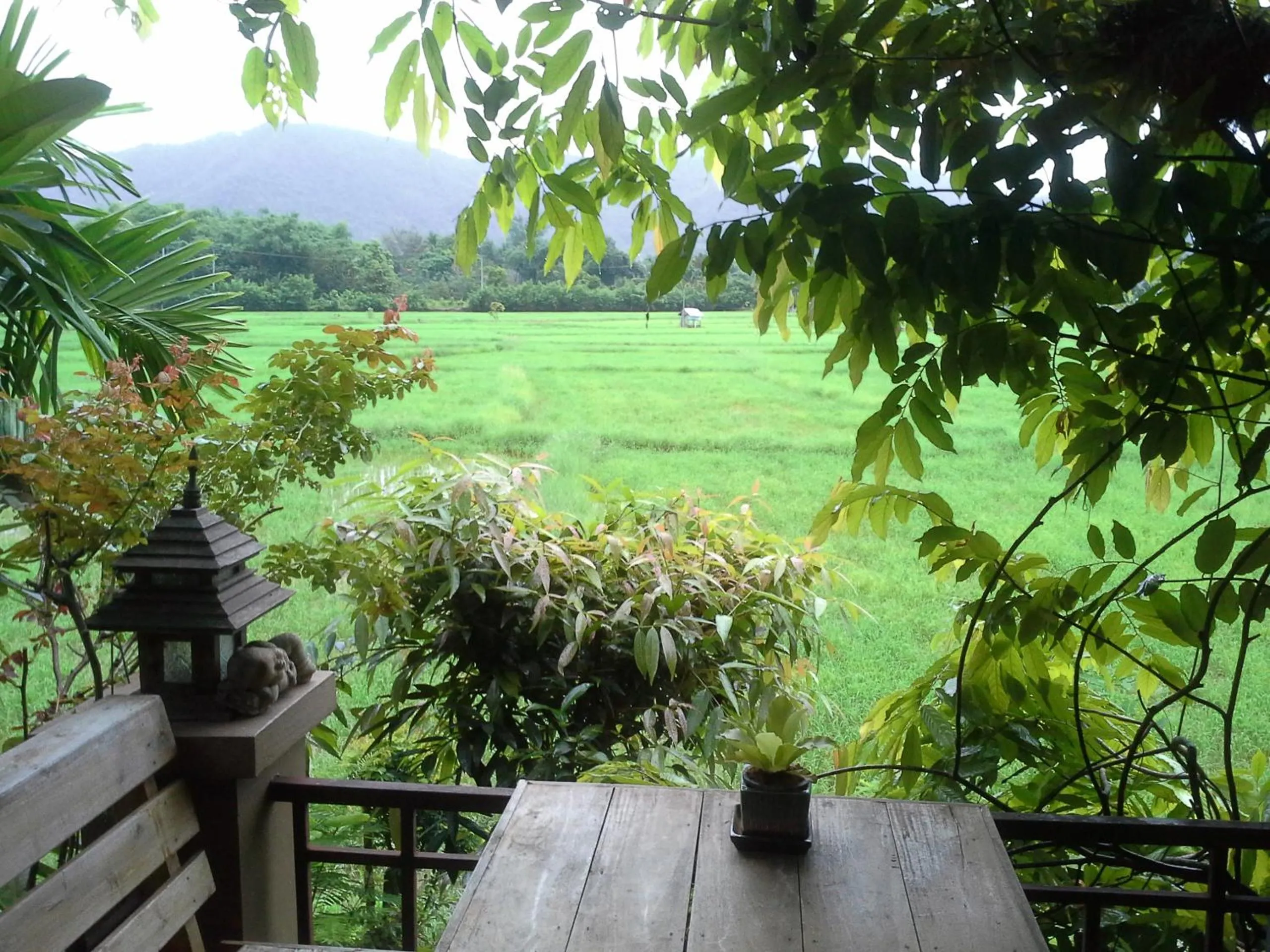 Mountain view in Jamjuree Garden
