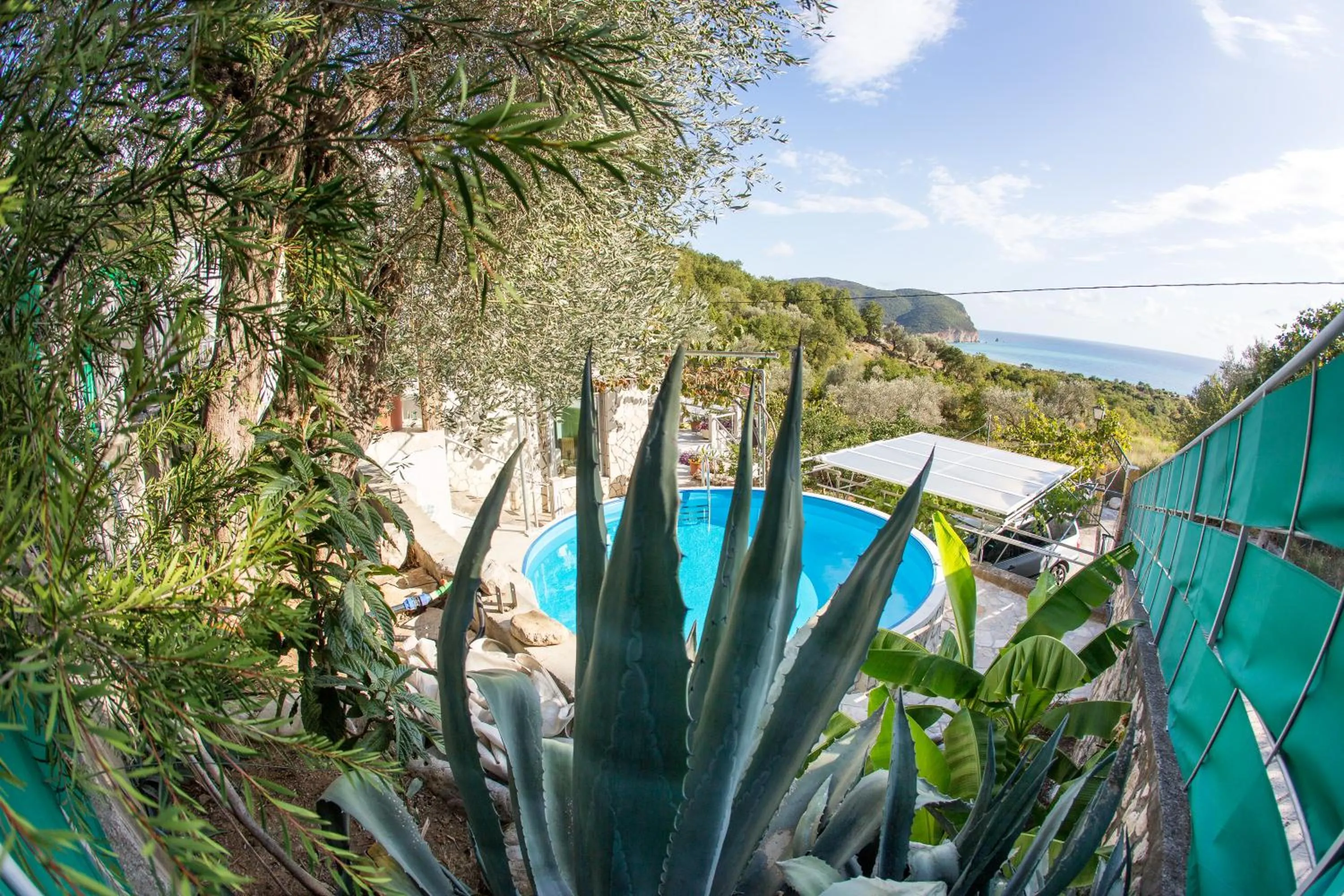 Sea view in Apartments Mirian