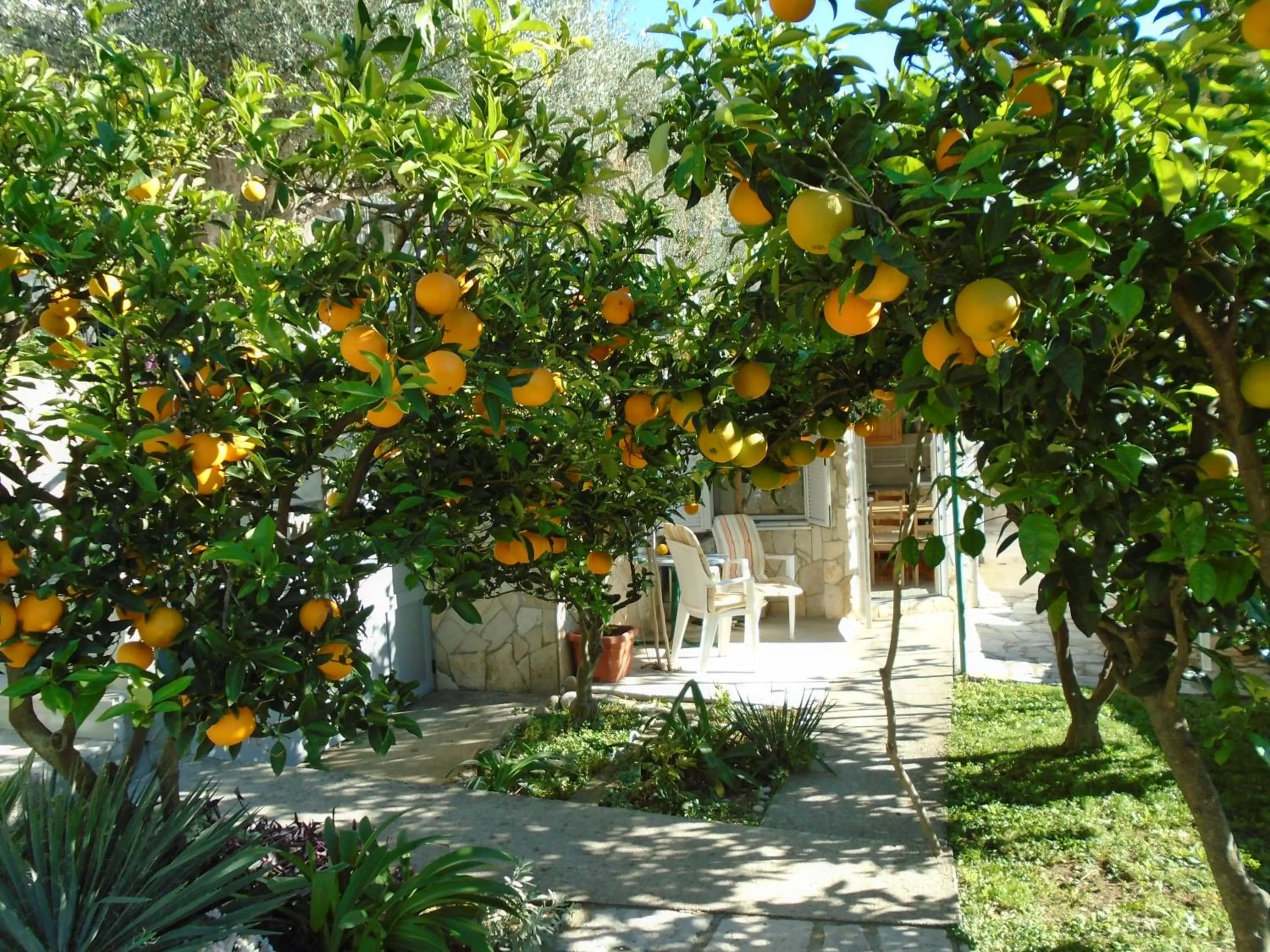 Garden in Apartments Mirian