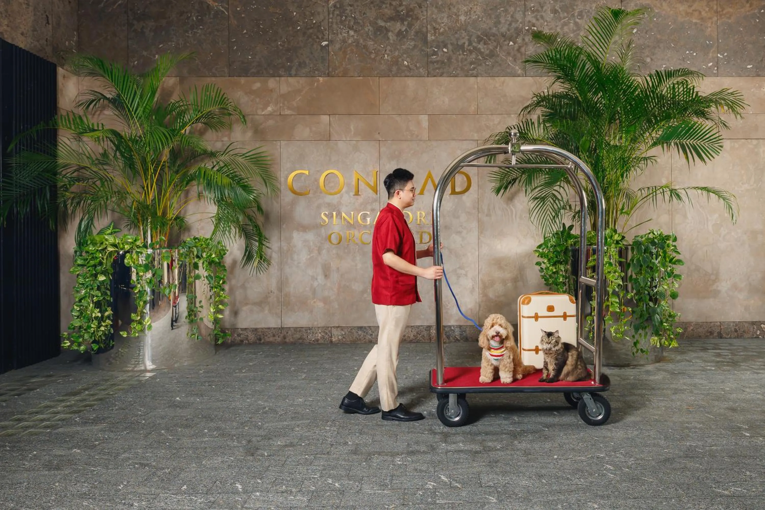 Pets in Conrad Singapore Orchard