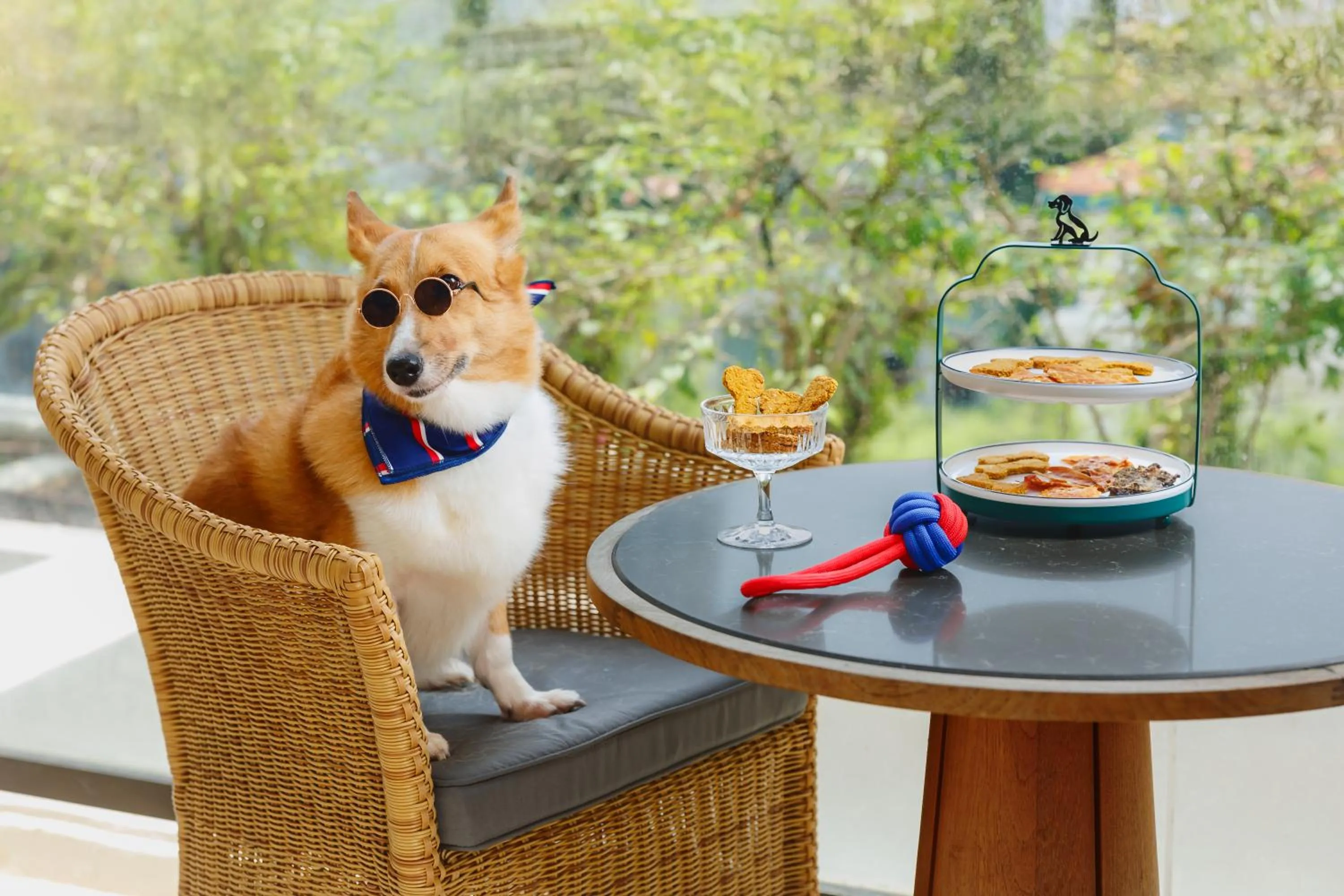 Patio in Conrad Singapore Orchard