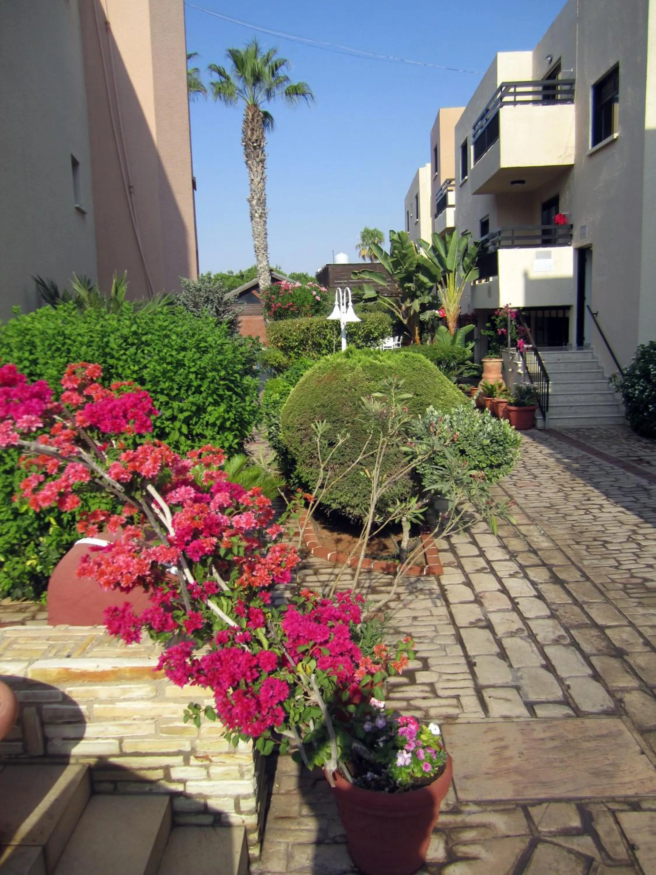 Garden in Senator Hotel Apartments - Adults Only
