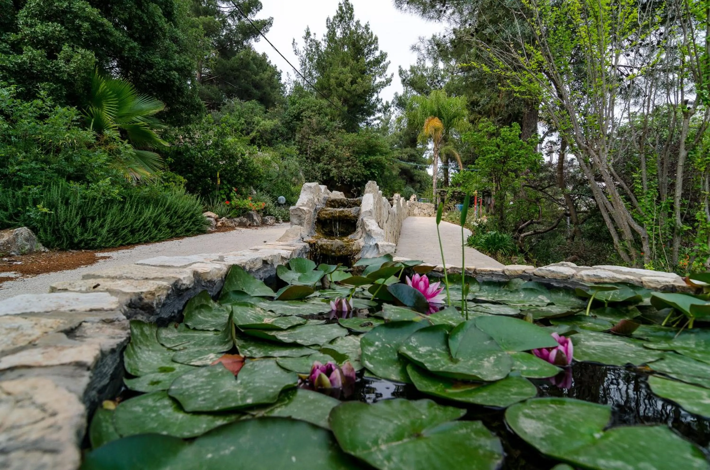 Garden in Amirey Hagalil Boutique Hotel