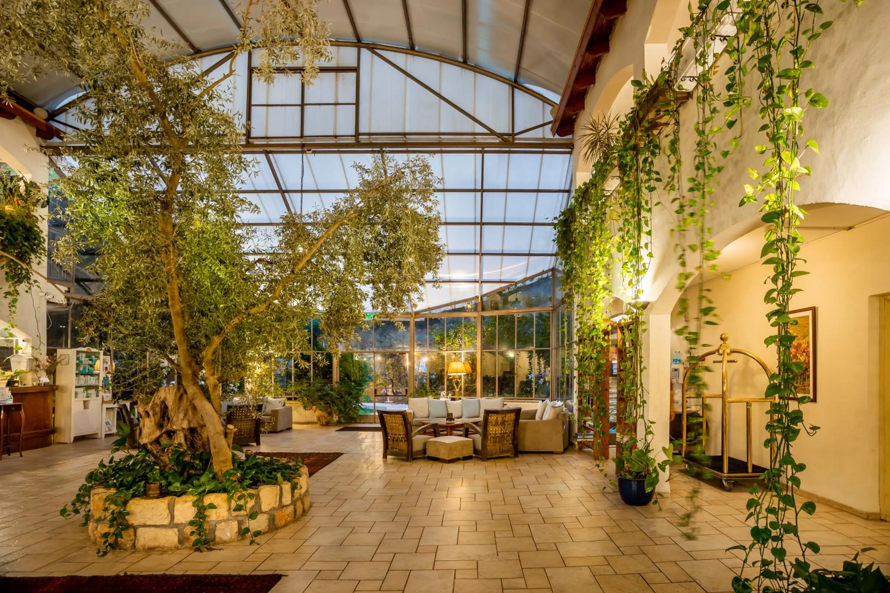 Lobby or reception in Amirey Hagalil Boutique Hotel