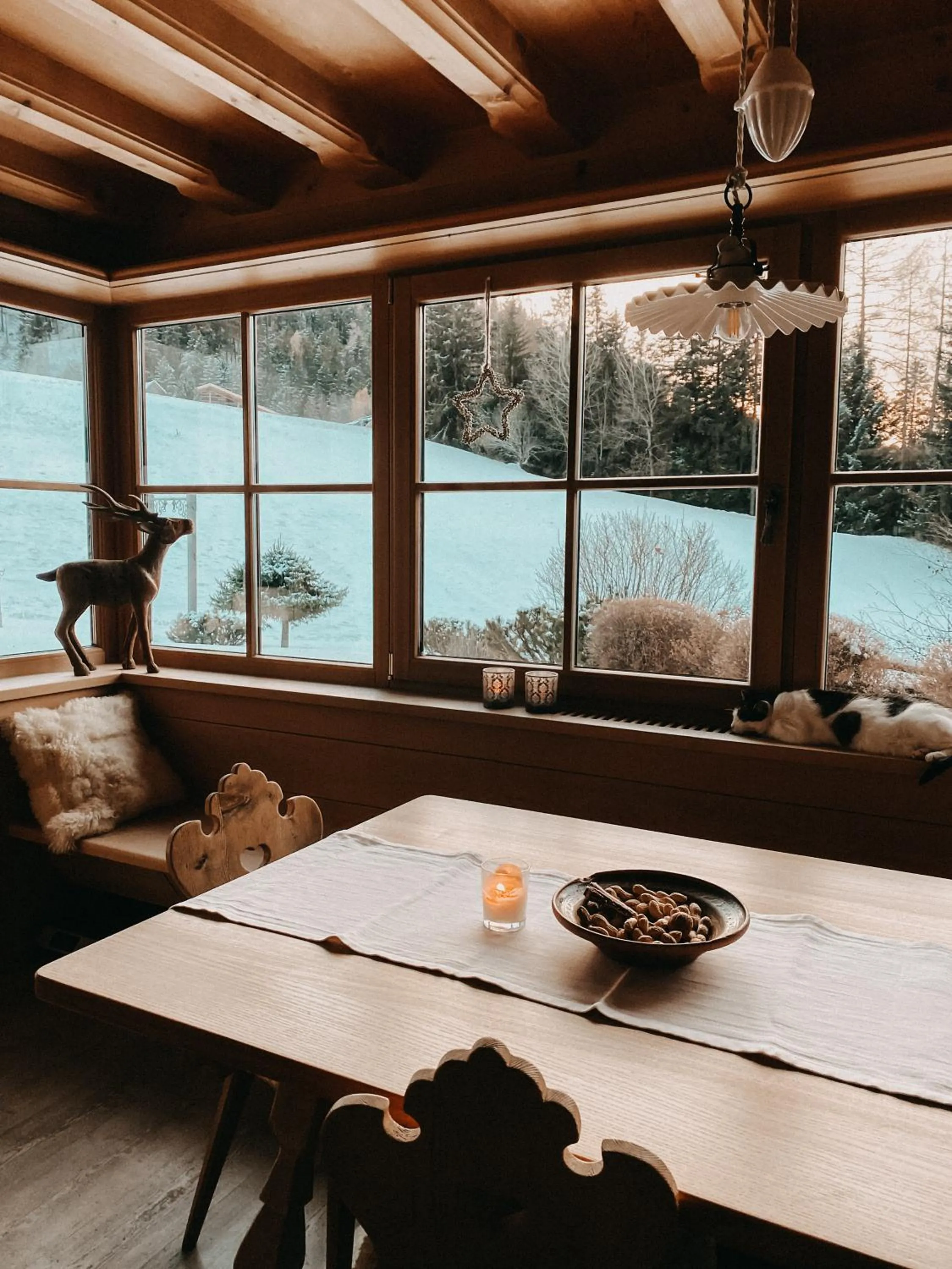 Living room in Mountain Chalet Pra Ronch