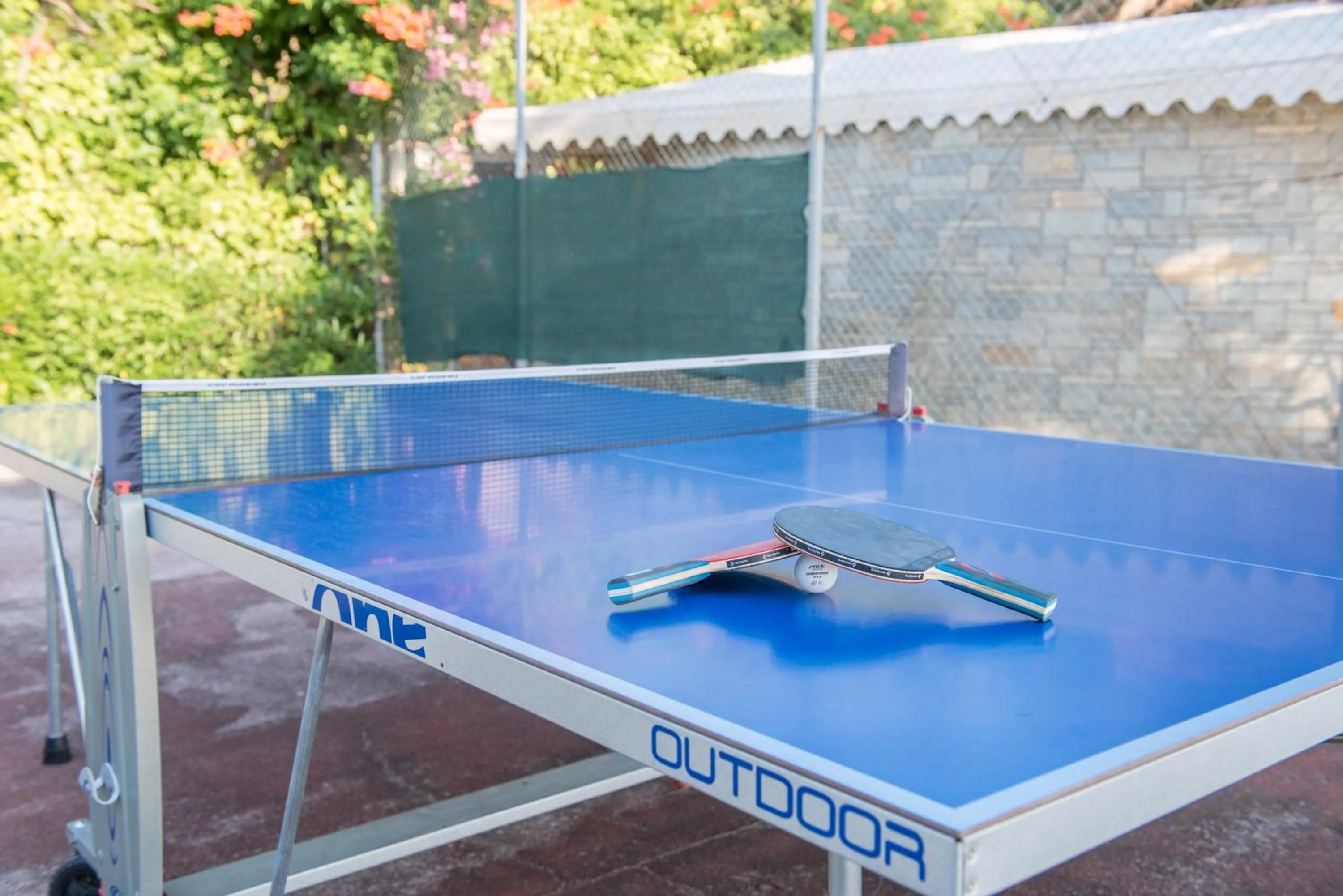 Table tennis in Camping Castello