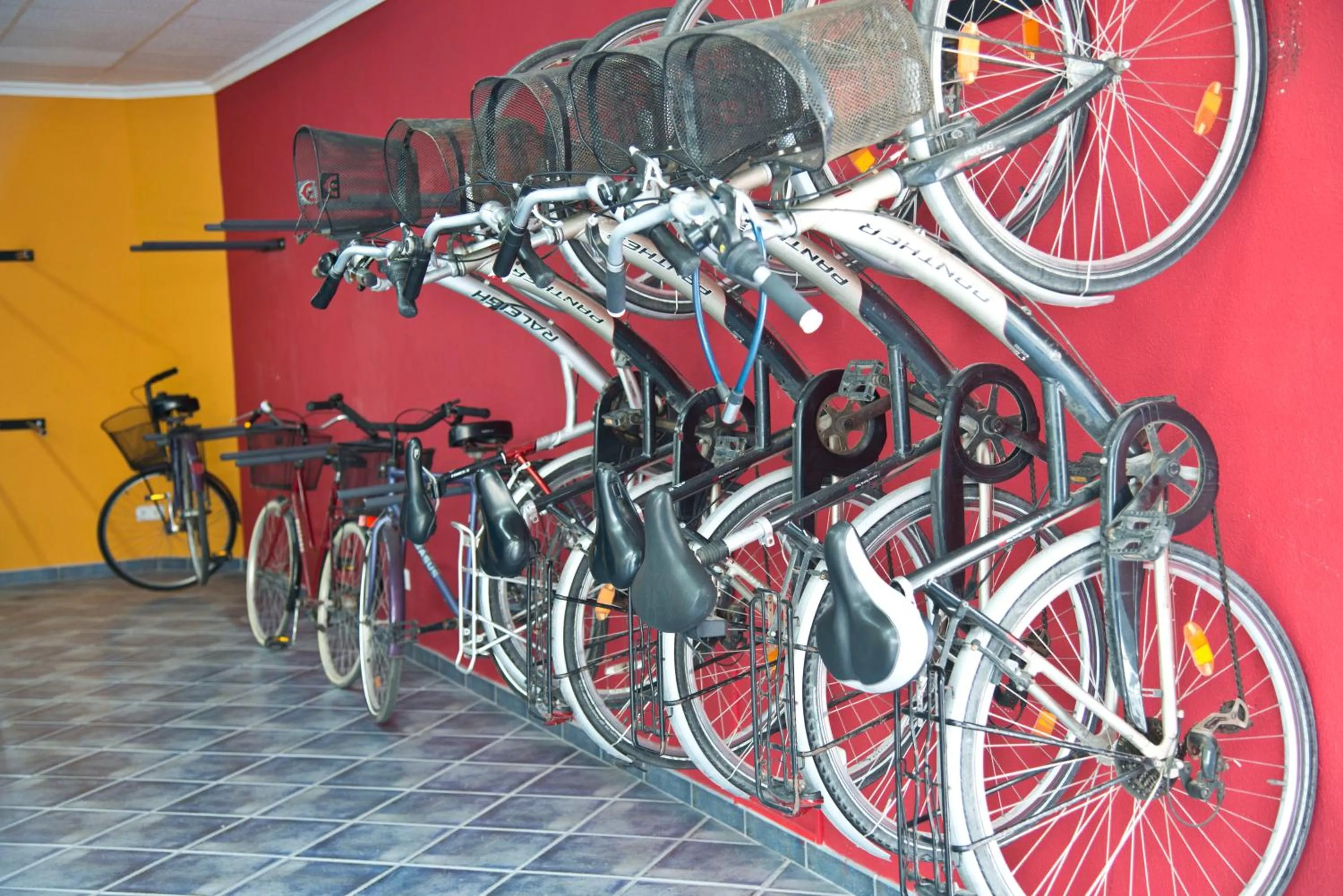 Activities in Hotel Amoros