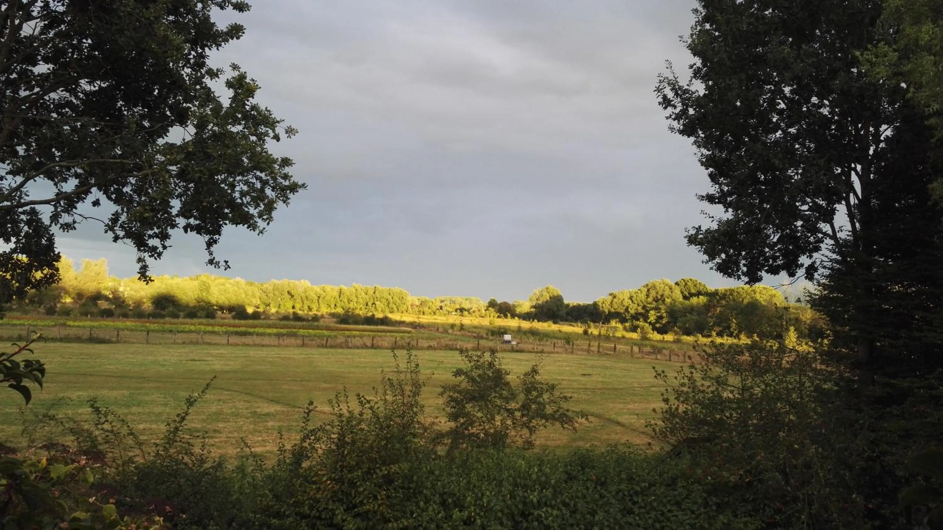 View (from property/room) in les Bovrieres