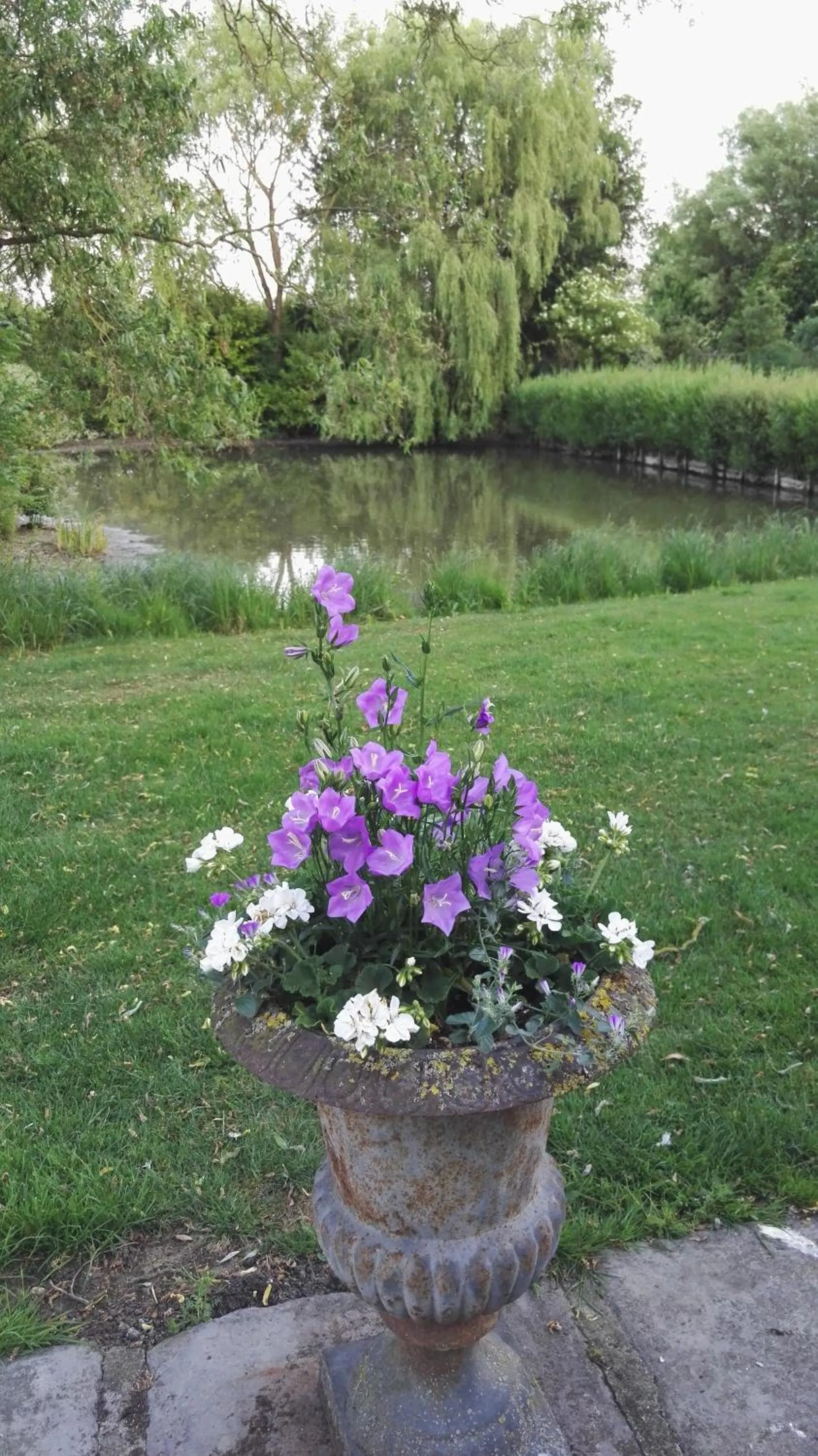 Garden view in les Bovrieres