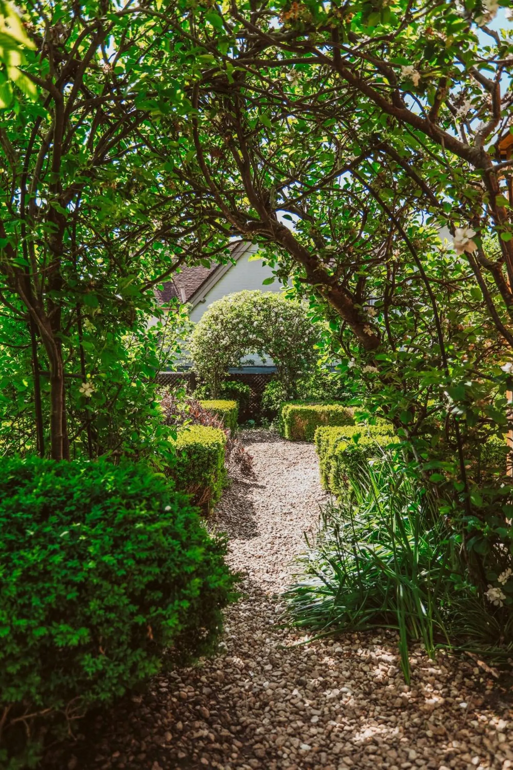 Garden in The Thomas Lord